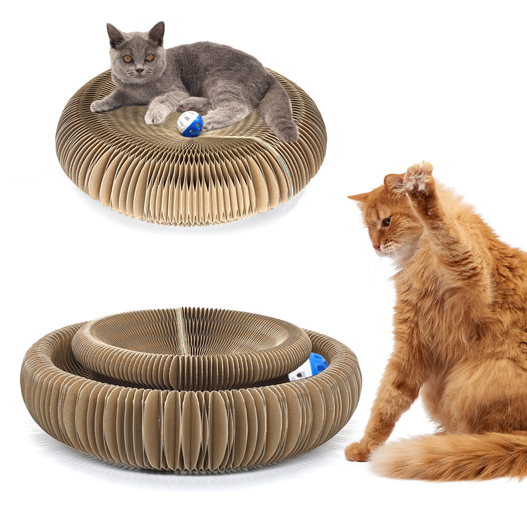 Enkman Kitty Curls Cat Toy Foldable Magic Organ Cat Scratching Board Cat Ball Adventure The Ultimate Interactive Mental Physical