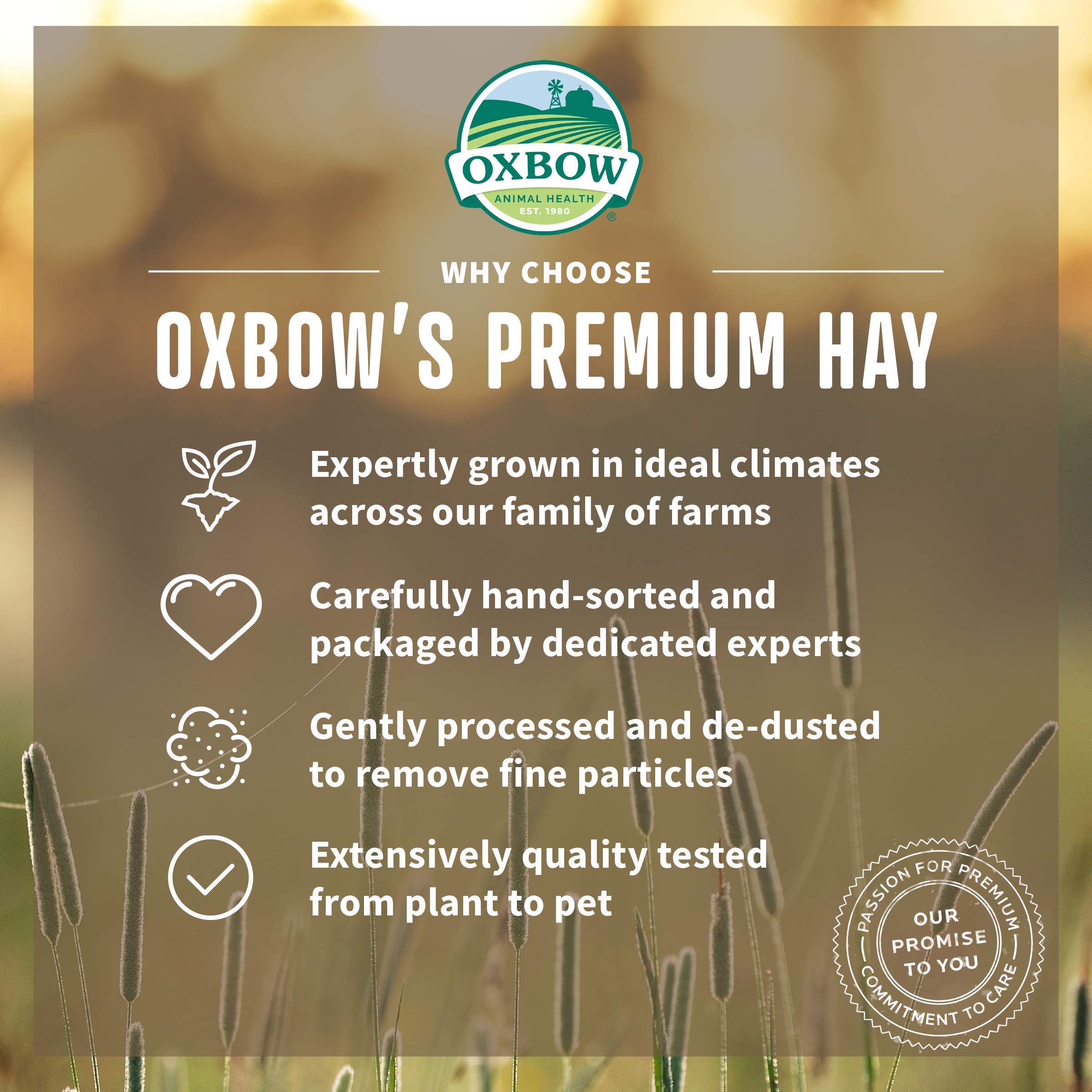 Oxbow Animal Health Meadow Hay - All Natural Hay For Rabbits, Guinea Pigs, Chinchillas, Hamsters & Gerbils - 40 Oz.