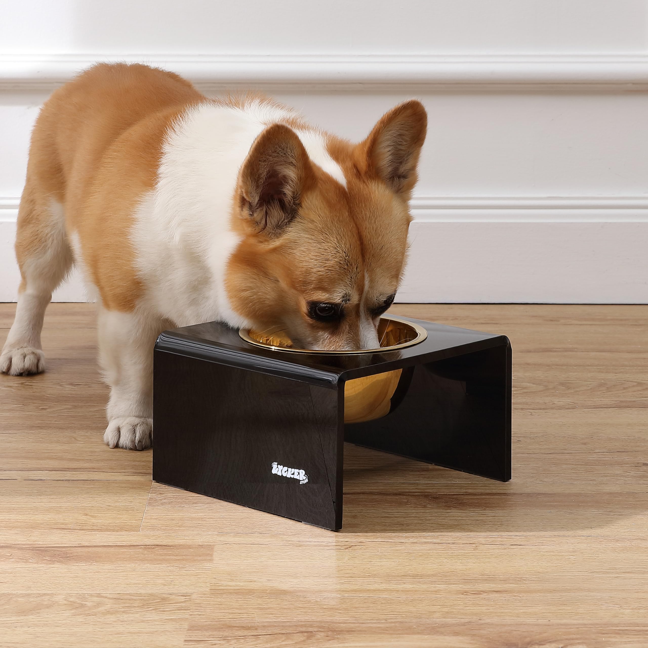 The LICKER Store DBL2002B Keaton 5 Small/Medium Modern Acrylic Rectangular Elevated Pet Feeder with 20oz 1-Stainless Steel Bowl,