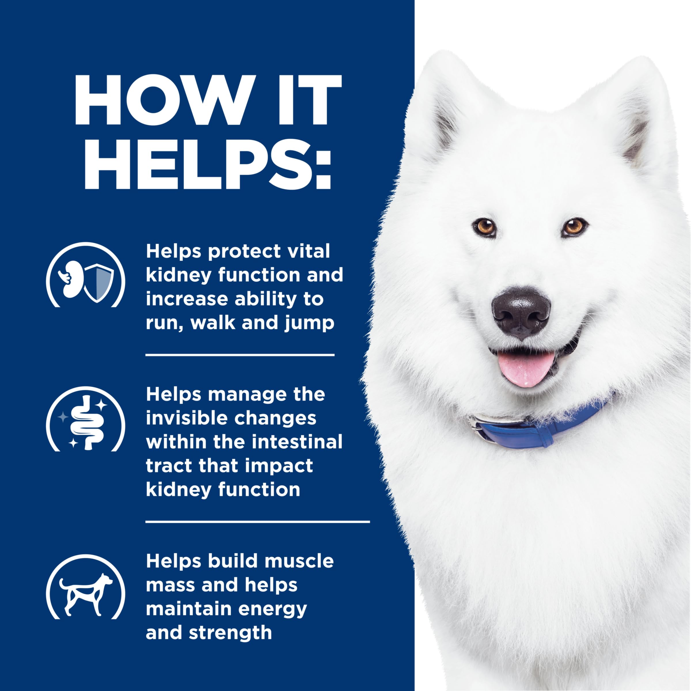 HILLS PRESCRIPTION DIET Hills Prescription Diet k/d Kidney Care + j/d Joint Care Chicken Flavor Dry Dog Food, Veterinary Diet,