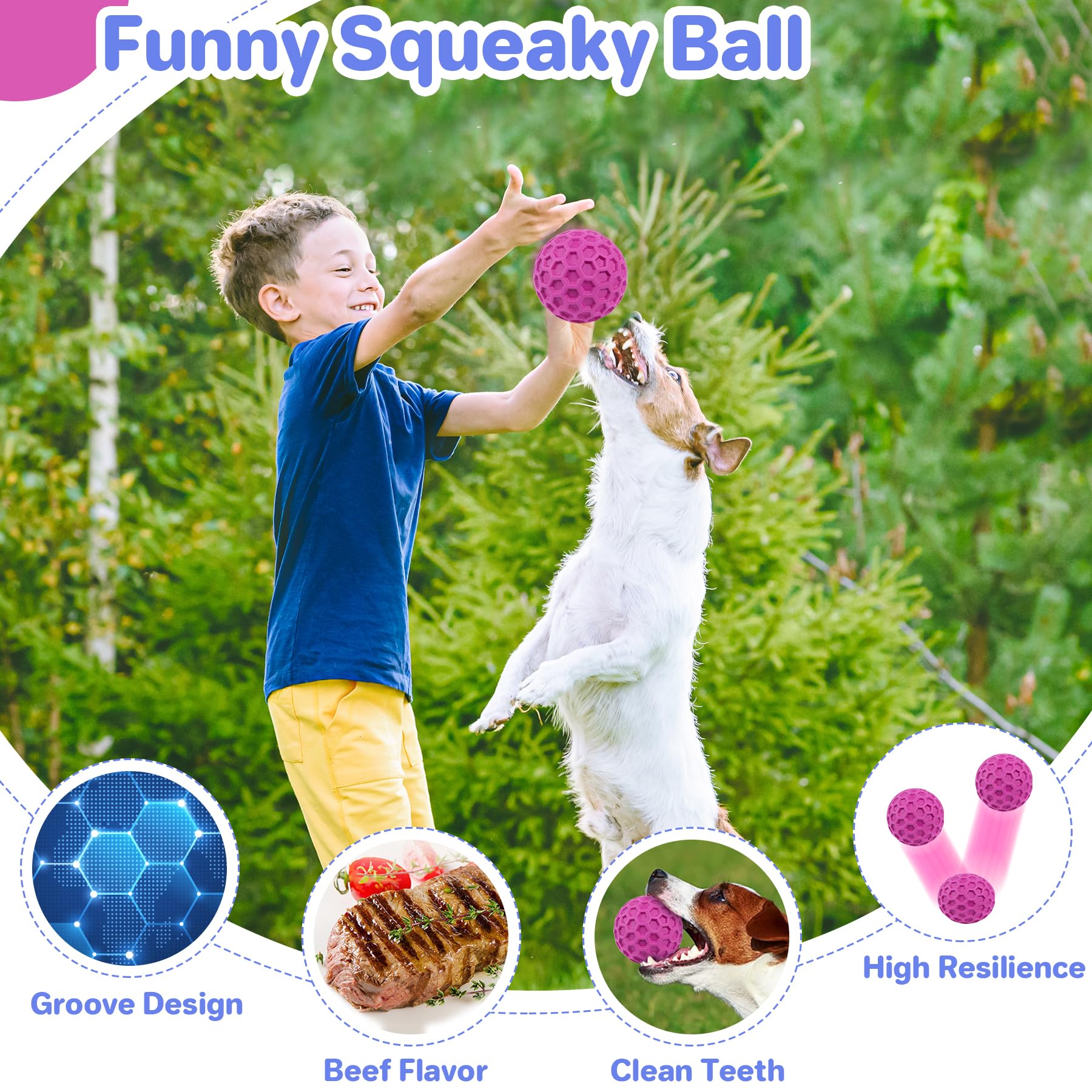 DISSKNIC Interactive Squeaky Dog Balls, Dog Toys for Aggressive Chewers Large Breed for Relieving Anxiety, Tough Dog Chew Toys B