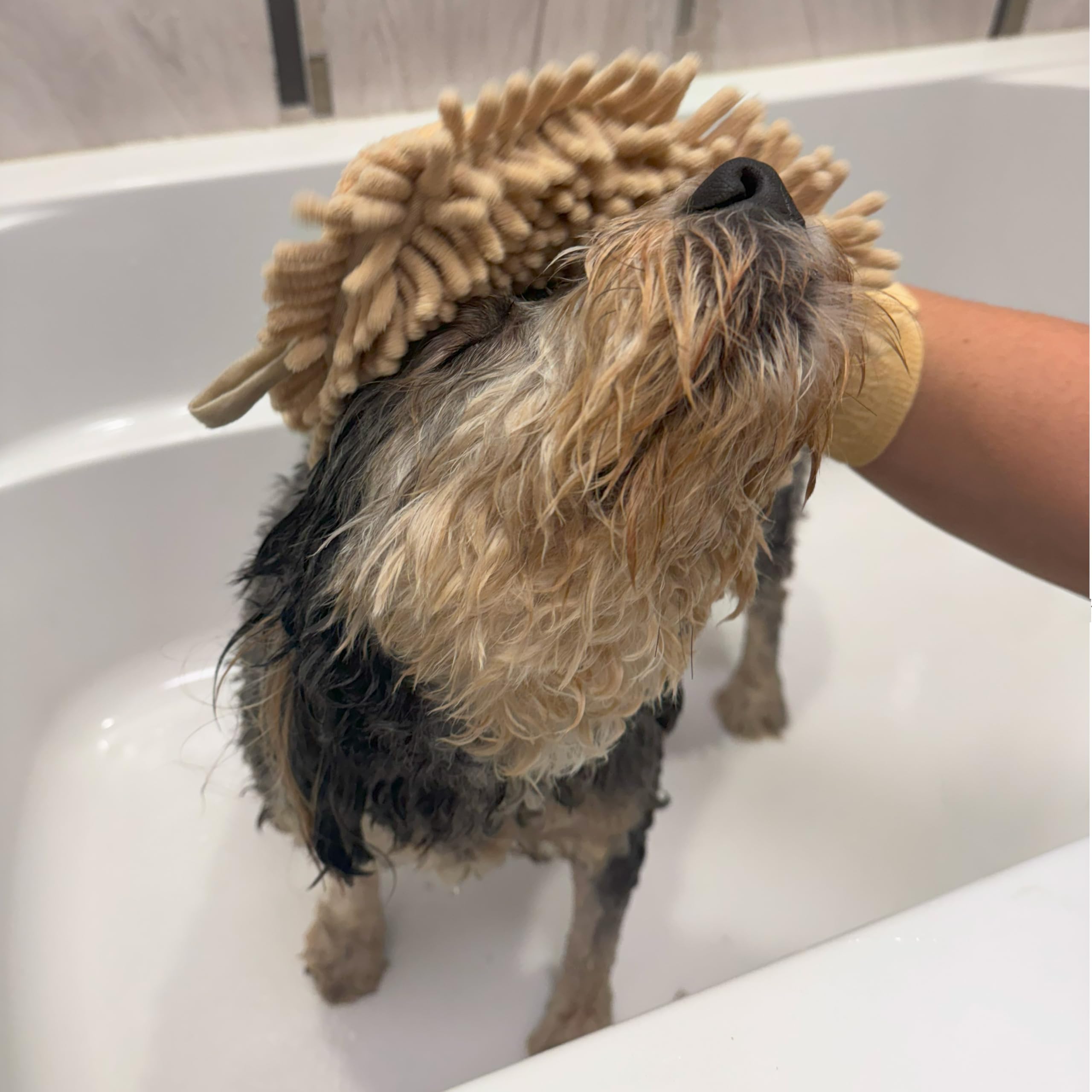 Spot Clean Paws Chenille Microfiber Dog Towel Mitt - Super Absorbent, Quick-Drying, Washable, Double-Sided Glove For Wet Paws & Body, Durable, Odor-Free, Gently Massages & Dries, 9.5In X 7In