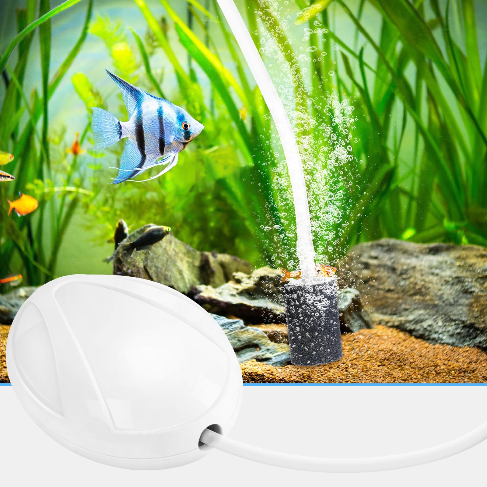 AQUANEAT Aquarium Air Pump, 20 Gallon Fish Tank Air Pump, Fish Bubbler, Hydroponic Oxygen Aerator, with Airline Tubing, Stone, C