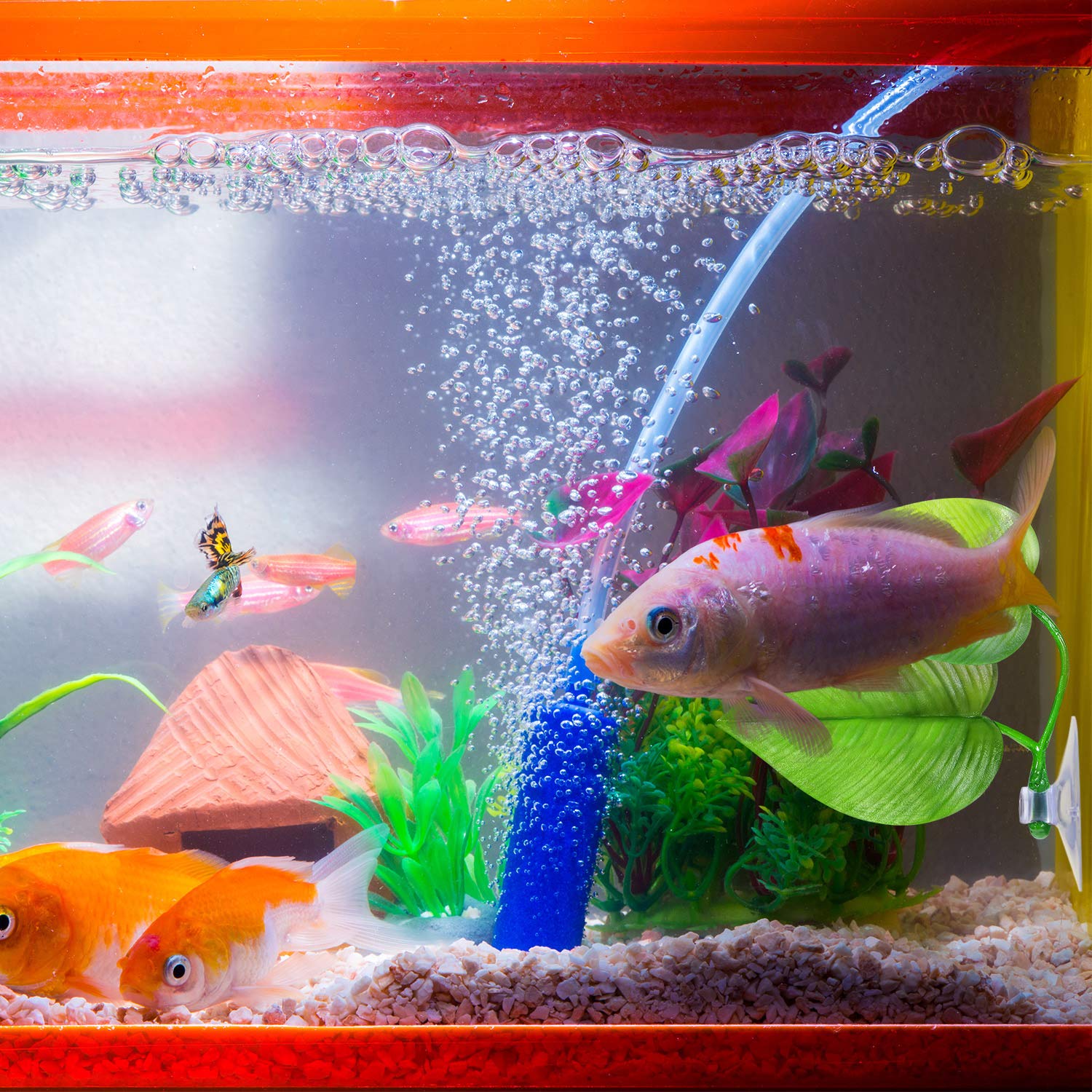 4 Pieces Betta Bed Leaf Hammock For Betta Fish, Lightweight And Realistic Resting Spot, No Bpa, Practical, Comfortable And Safe (Double Leaf)