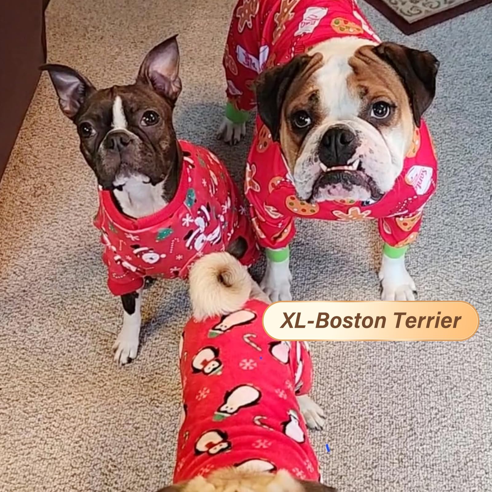 Kyeese New Year Dog Pajamas Santa Claus Dogs Pjs For Small Medium Dogs Holiday Dog Onesie Soft Velvet