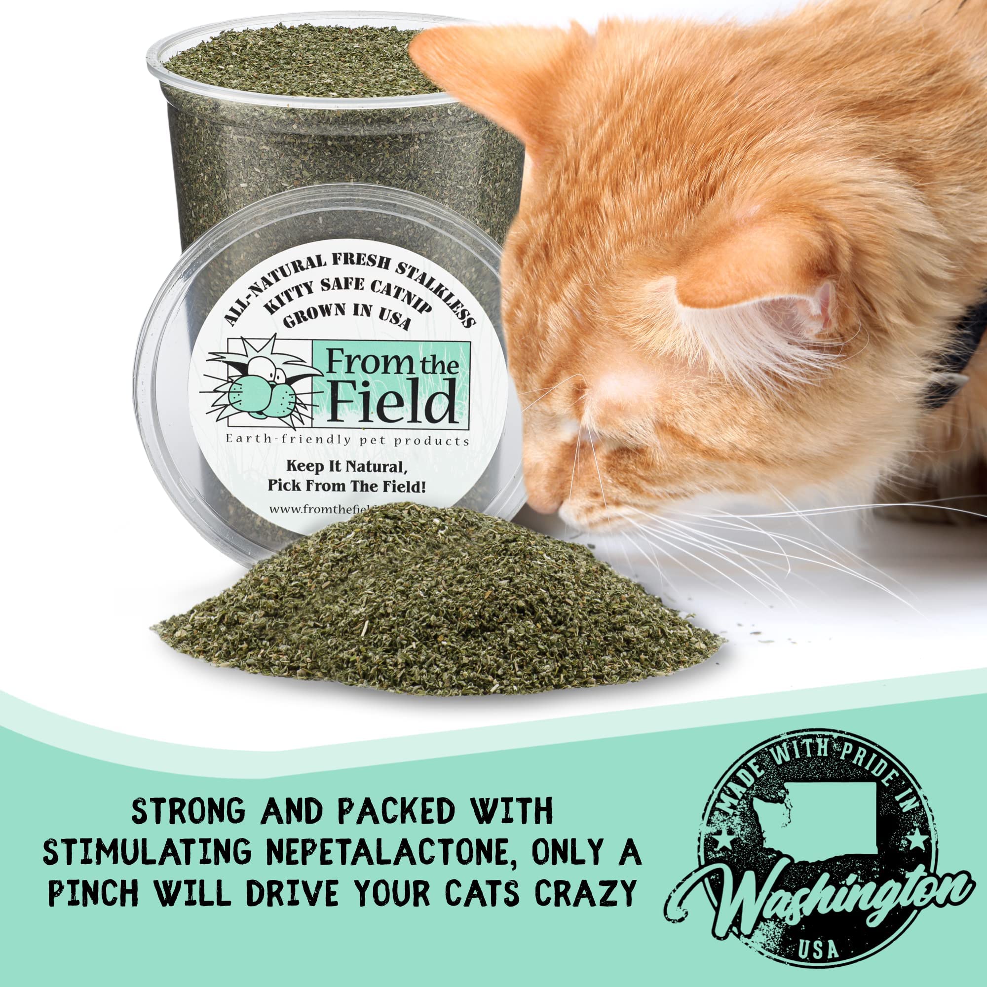 From The Field | Fine Ground Stalkless Catnip | Premium Usa-Grown Catnip For Toys & Playtime | Fresh, Potent, Non-Toxic, Eco-Friendly | Safe For Kittens & Cats | Resealable 6 Oz Tub