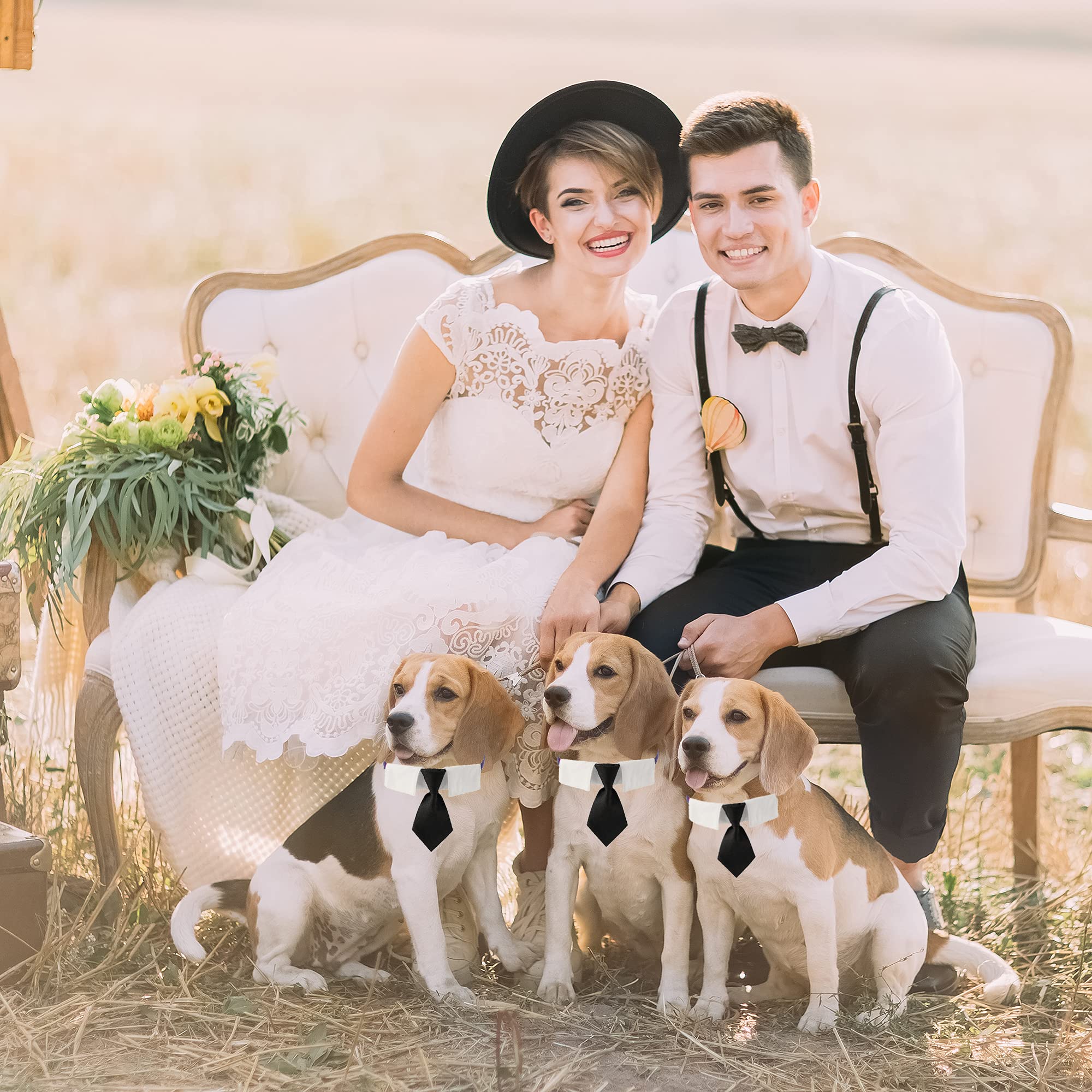 ADOGGYGO Adjustable Dog Neck Tie Collar Pet Collar with Black Necktie Wedding Formal Tux Collars for Medium Dogs Pets (Medium)