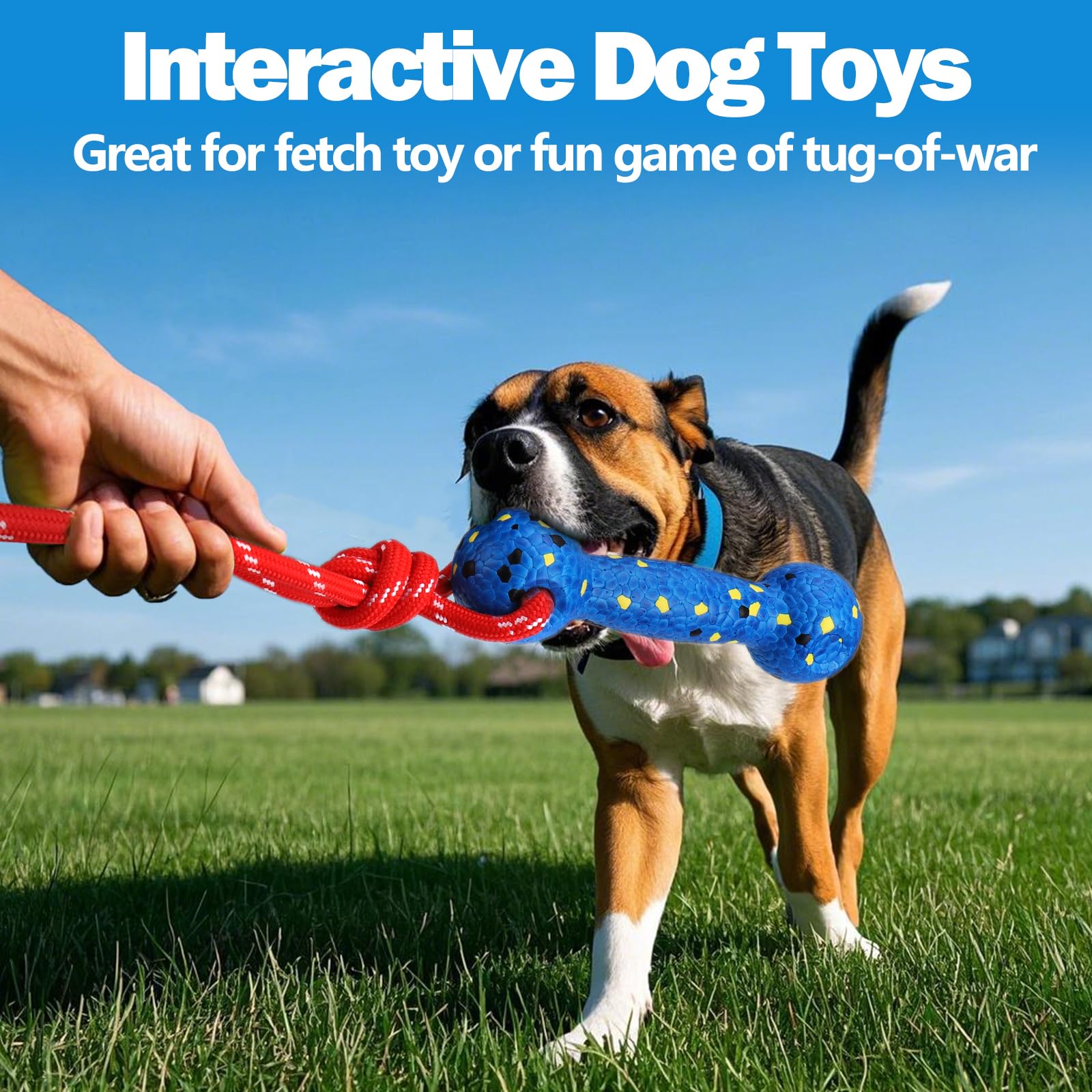 Mity Rain Floating Dog Toys -E-Tpu Water Pool Fetching Toy With Rope For Small Medium Large Pet, Bumper Shape Indestructible Int