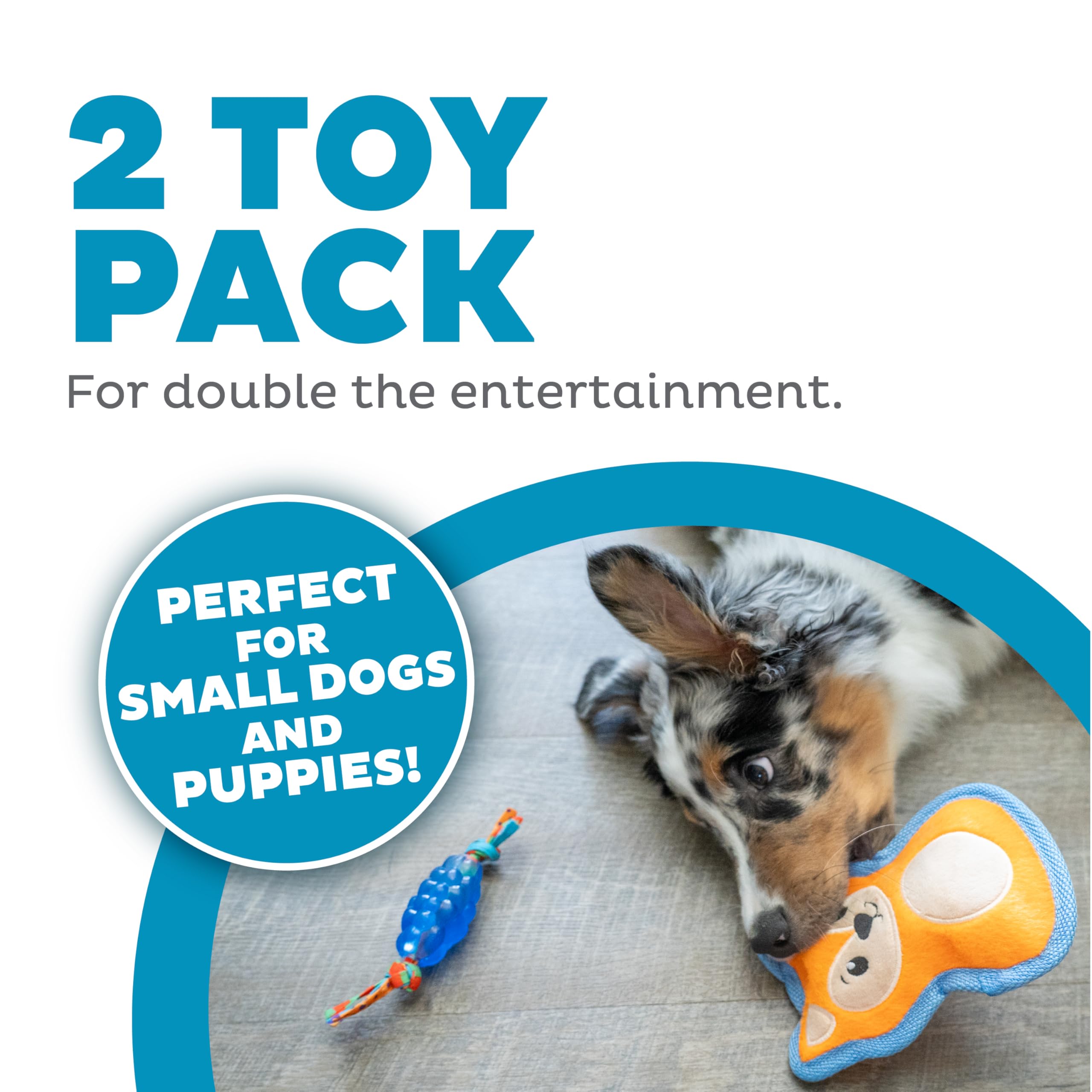 Outward Hound Mini Orka & Friends Fox Dog Toys, Dental Chew Toy And Tough Plush Squeaky Dog Toys, 2-Pack, Orange, Xs