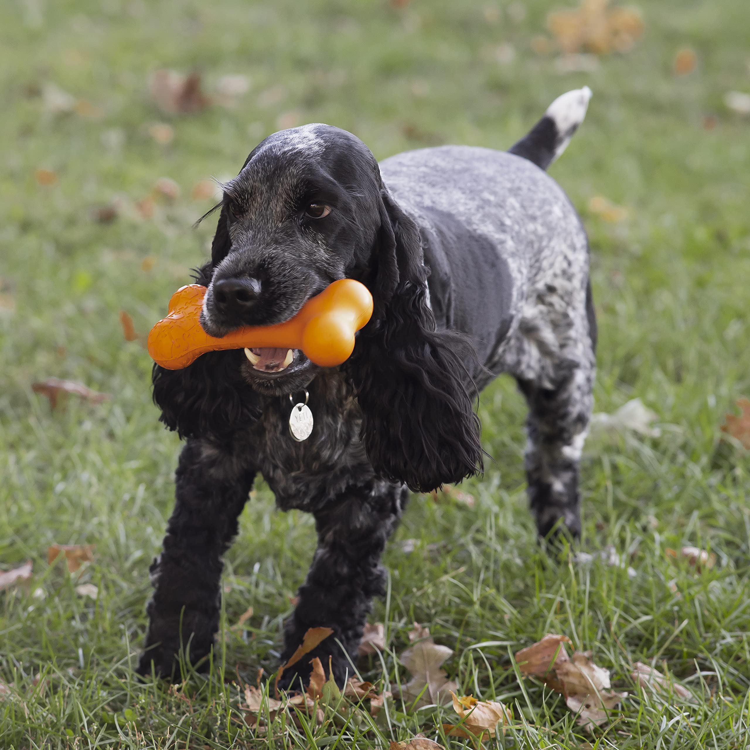 Chew King Bacon Flavor Rubber Bone