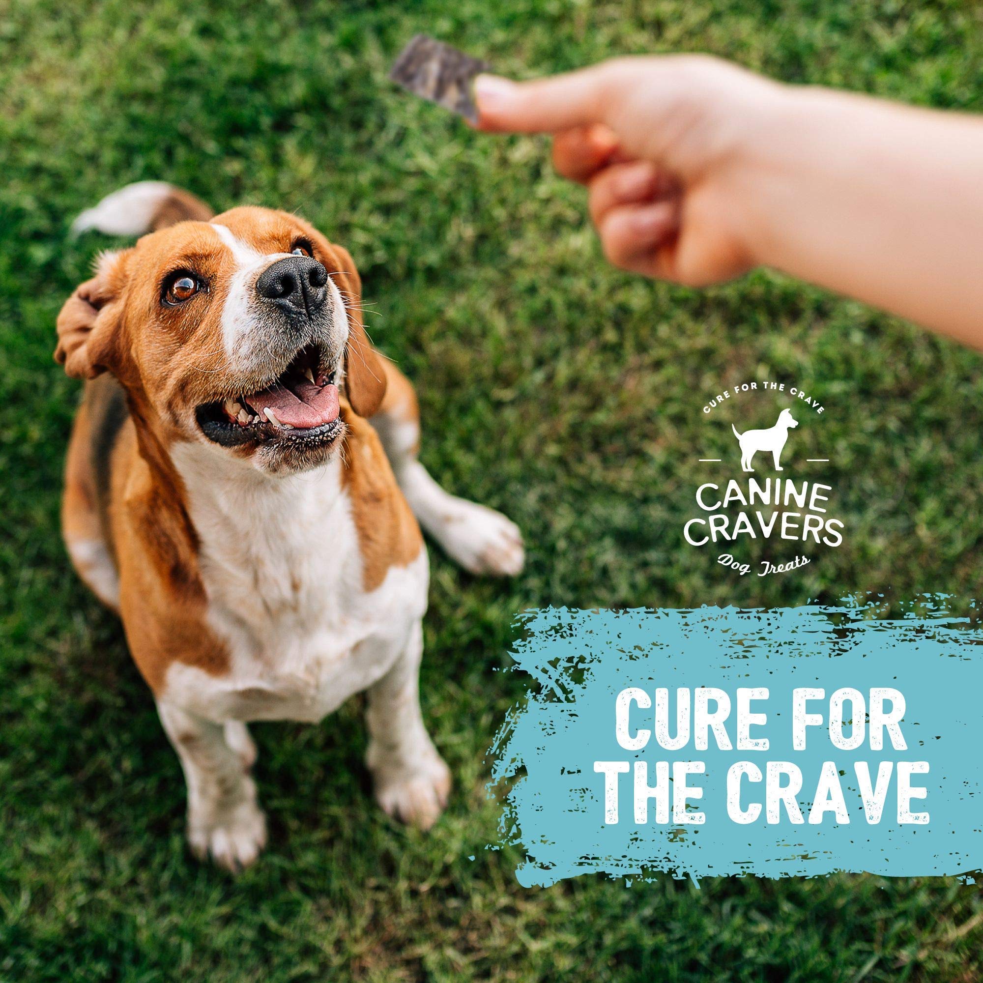 Canine Cravers Single Ingredient Dog Treats - Wild Caught Crispy Cod Skins - Human Grade Air Dried Hypoallergenic Pet Food - Gra