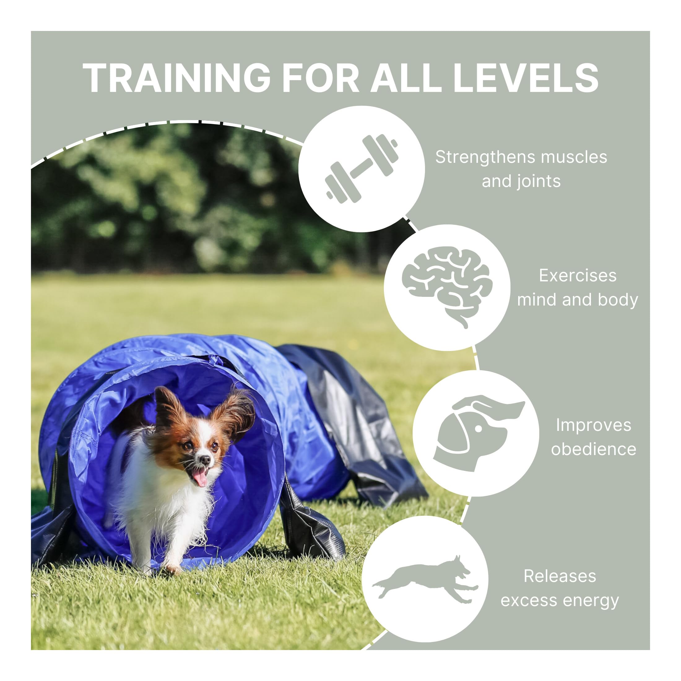 TRIXIE Dog Agility Tunnel- Dog Tunnel for Small Dogs or Cats Agility Training, Portable Dog Tunnel 78.7 in Long & 15.7 in Diamet