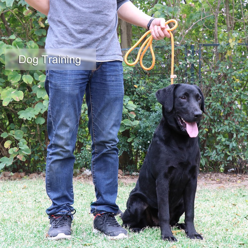 Grand Line Slip Lead Dog Leash, 5Ft Reflective Slip Rope, Puppy Training Walking Controlling Lead, Slip Collar Pet Leash For Small, Medium, Large Dogs (Orange, Medium-2/5In X 5Ft)