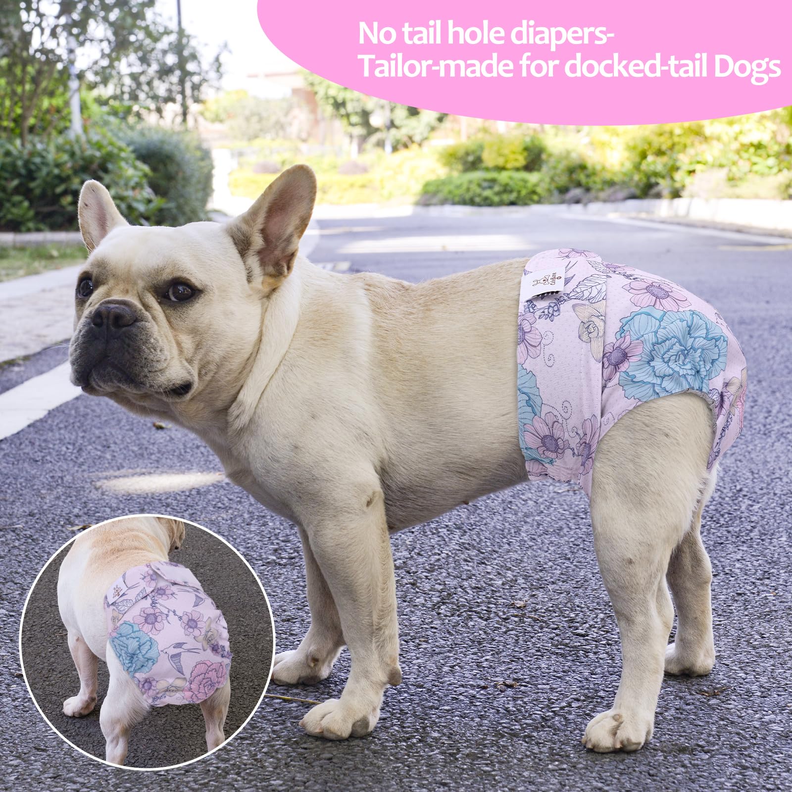 Cutebone Washable Dog Diapers Female No Tail Hole 3 Pack Reusable Doggie Period Training Pants For Docked-Tail Frenchie French Bulldog Boston Terrier Without Tail Wwd16S
