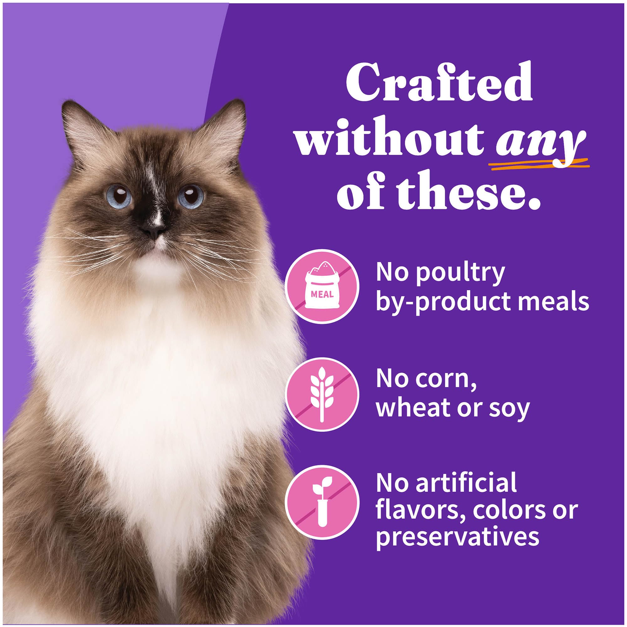 Halo Purely For Pets Indoor Cat Turkey and Giblets Recipe - Case of 12-5.5 Oz