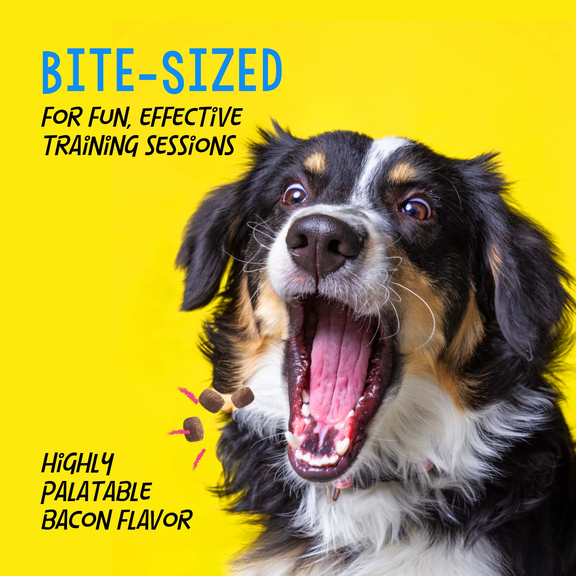 Crazy Dog Mini Train-Me! Bacon Flavor Training Treats, 10 oz Pouch, Recommended by Trainers, 500 Treats per Bag