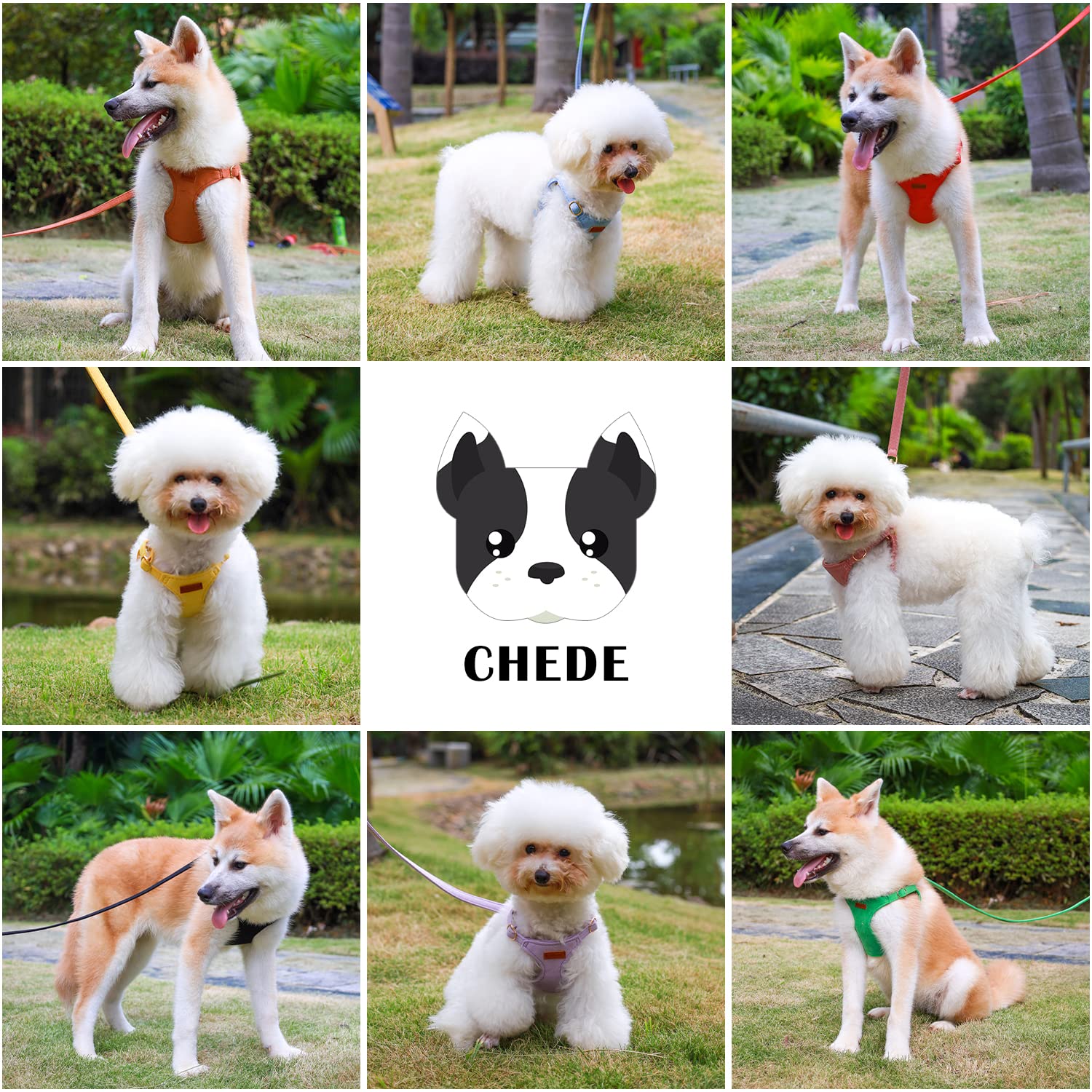 CHEDE No Pull Puppy Harness and Multifunction Dog Leash Set- 8 Colors Soft Adjustable No Choke Escape Proof Cute,Lightweight Pet