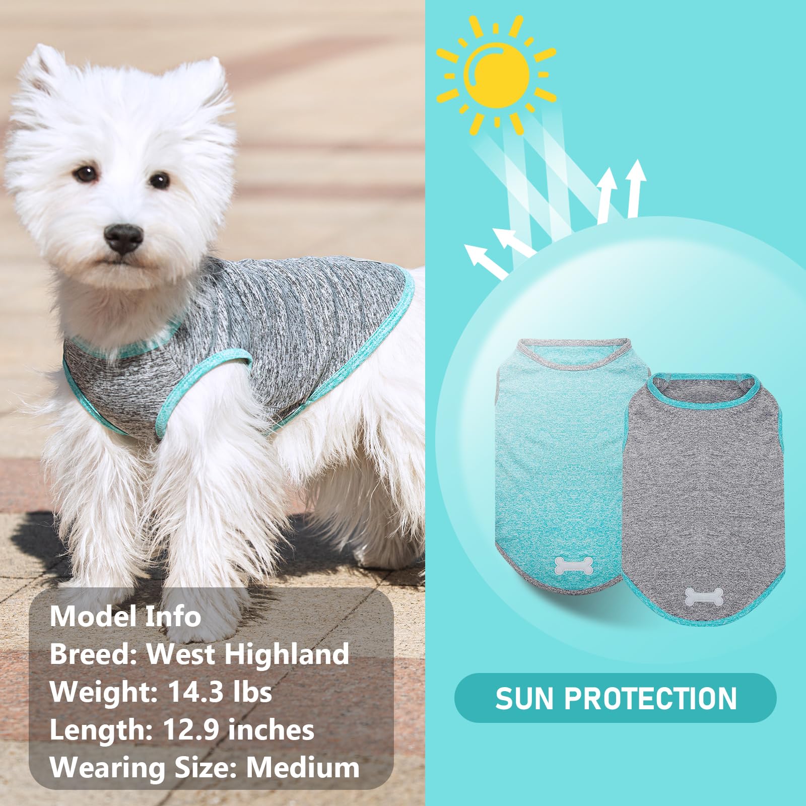 Kyeese 2 Pack Dog Shirts Quick Dry Soft Stretchy Sun Protection Dog T-Shirts With Reflective Label Tank Top Sleeveless Vest Dog Clothes For Small Medium Dogs, X-Large, Grey+Blue