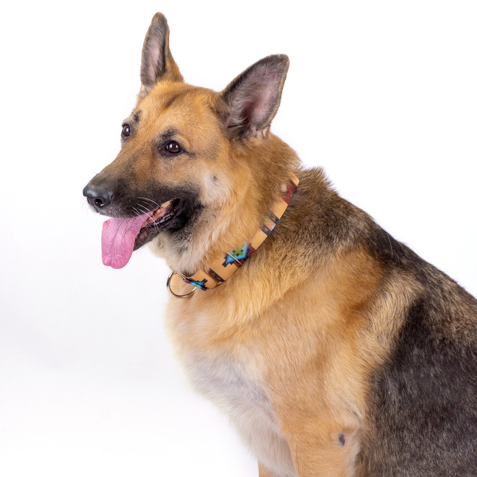 Country Brook Petz - Native Arizona Martingale Dog Collar - Country And Western Collection Featuring Rustic Designs (1 Inch, Med