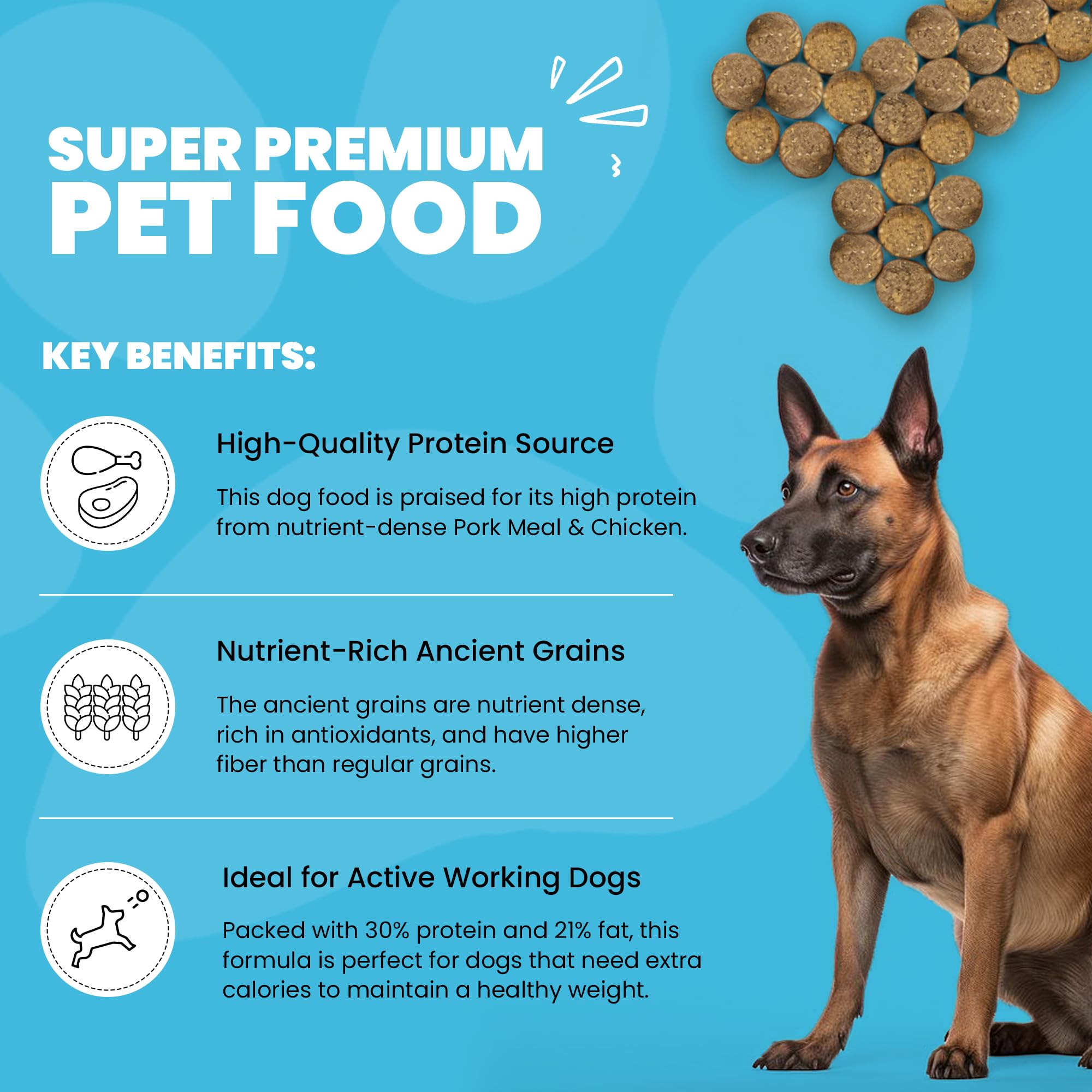 Muenster Ancient Grains Chicken & Pork Dry Dog Food, 22lb - Gluten-Free, High Protein, Digestive Support