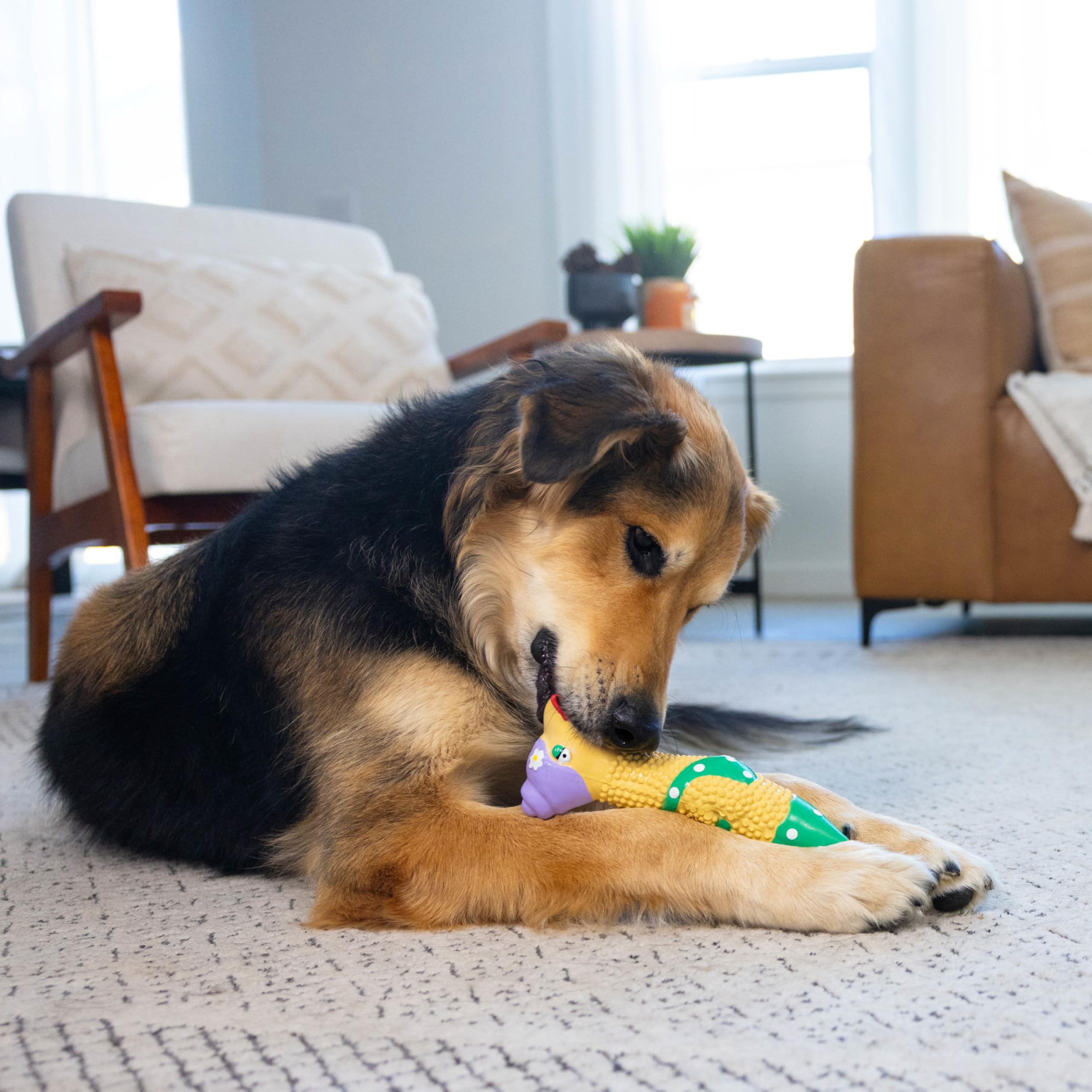 Outward Hound by Charming Pet Squawkers Grandma Hippie Chick Latex Squeaky Rubber Chicken Dog Toy, Funny Interactive Holiday Toy