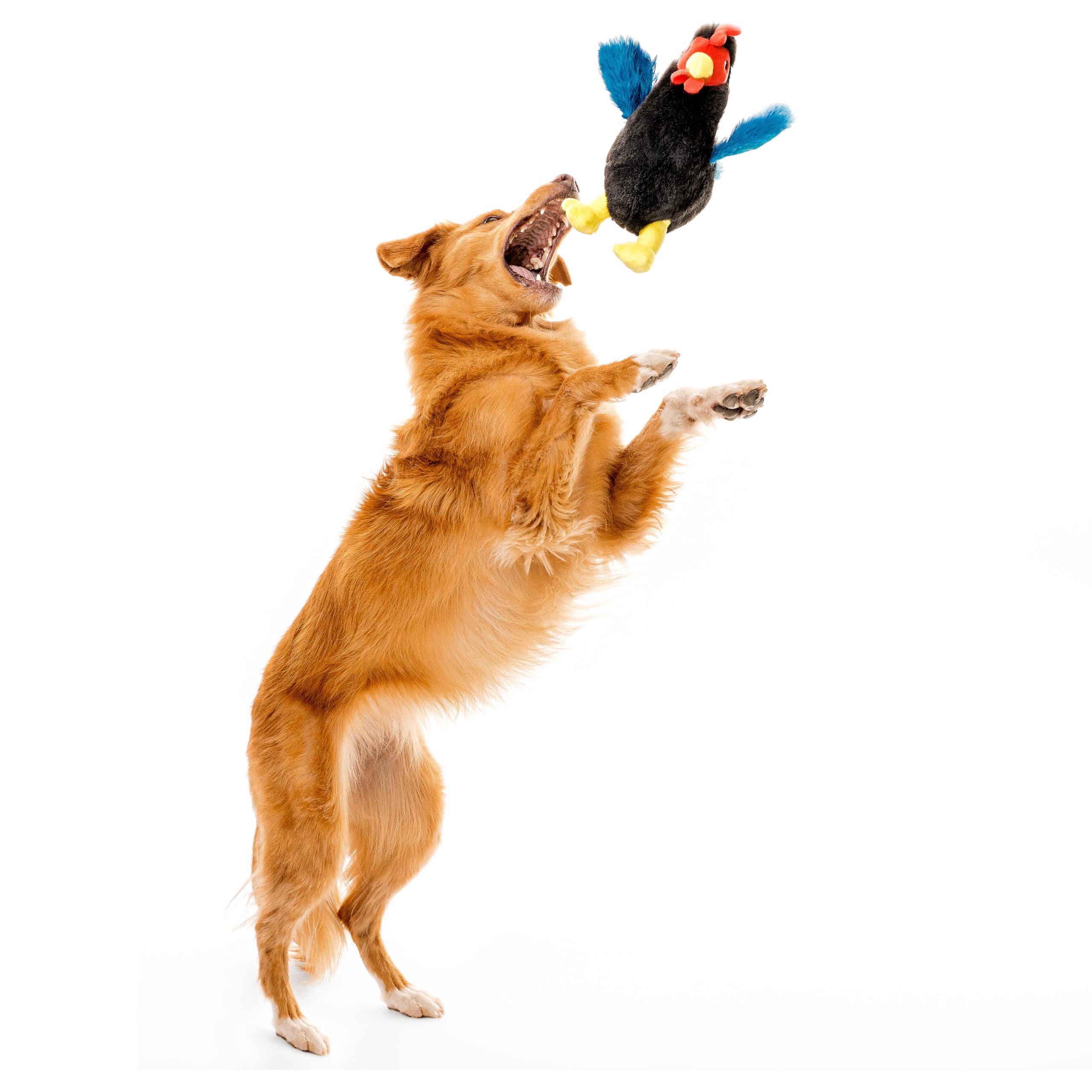 Playology Plush Toys for Dogs | Stuffed Animal Hen | Chicken Scented for Medium Dogs