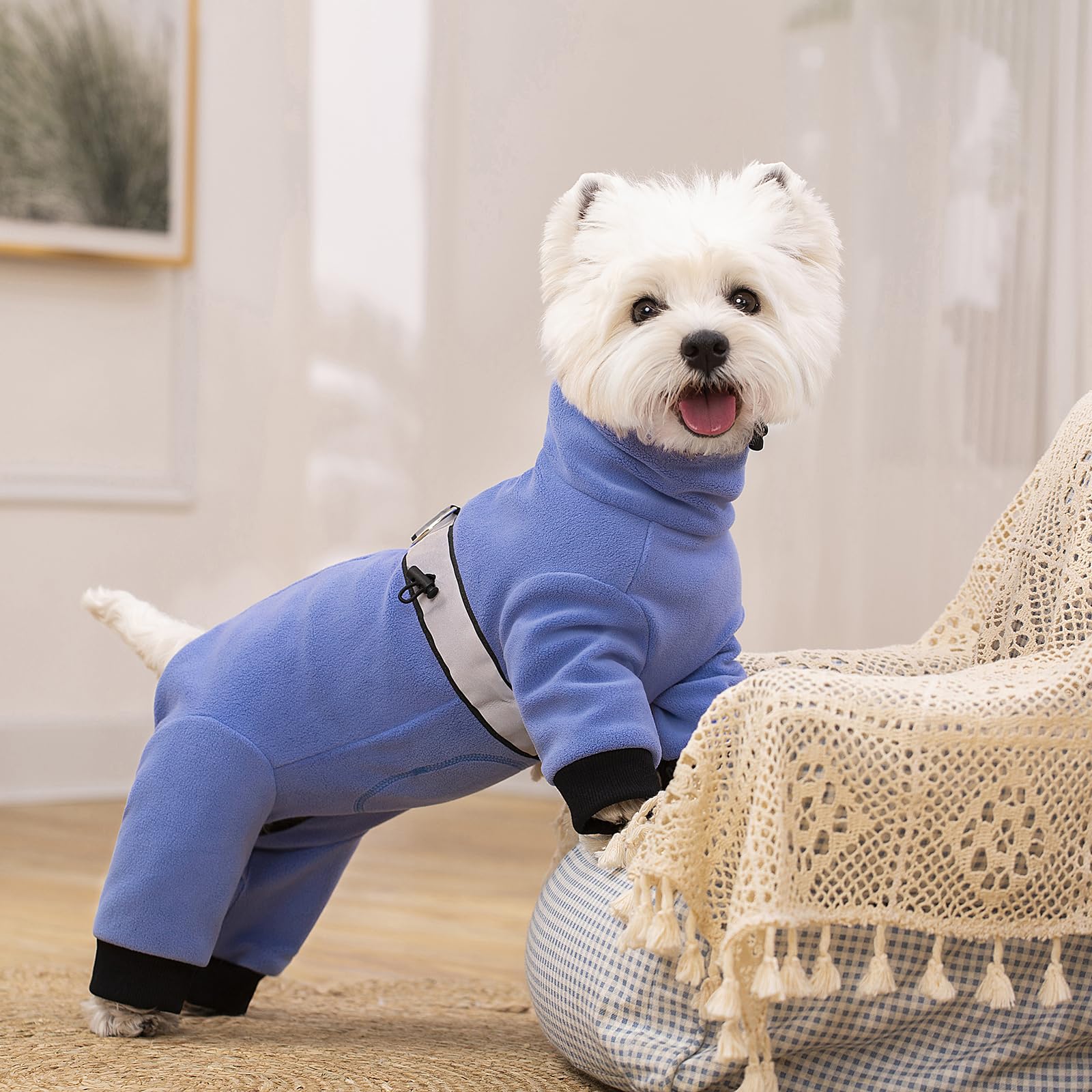 Polar Fleece Coats For Small Dogs, Four-Legged Pajamas Bodysuit For Small Medium Dogs, Winter Jacket Sweater Vest, Warm Clothes