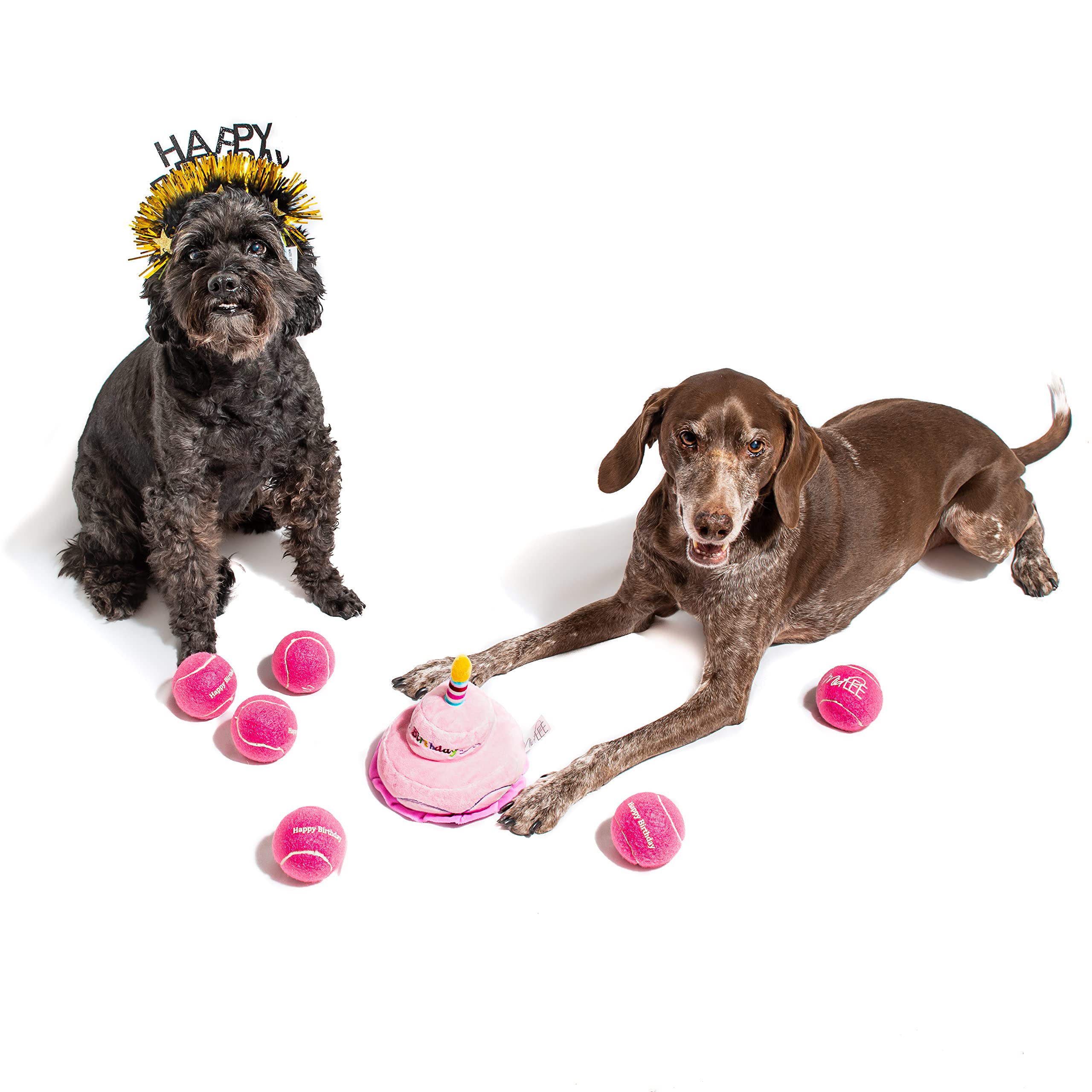 Midlee 2 Layer Birthday Cake Dog Toy (Pink)