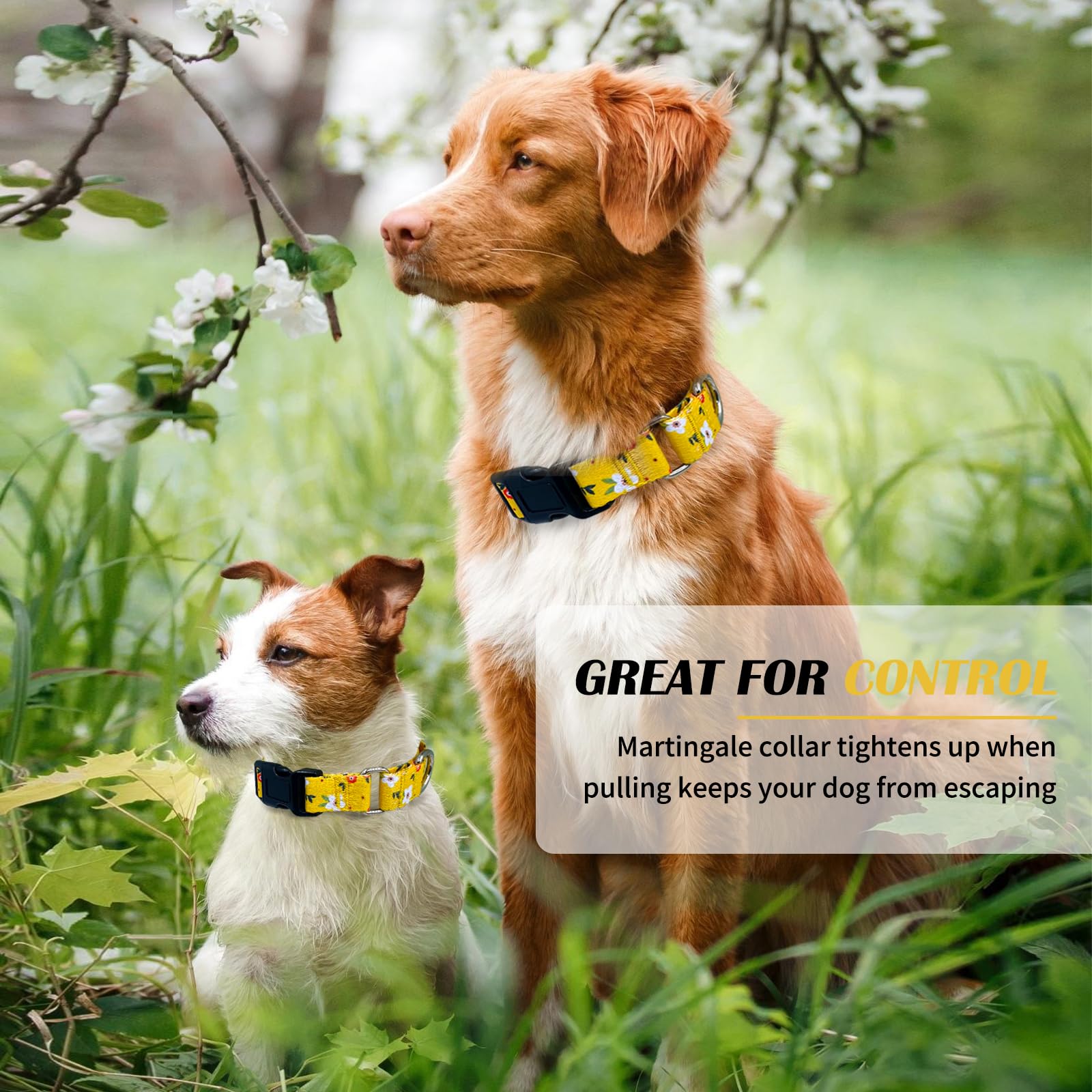 Hikiko Martingale Collar For Dogs Cute Floral Dog Collar For Small Medium Large Dogs Soft Nylon Quick Release Dog Collars (Yello