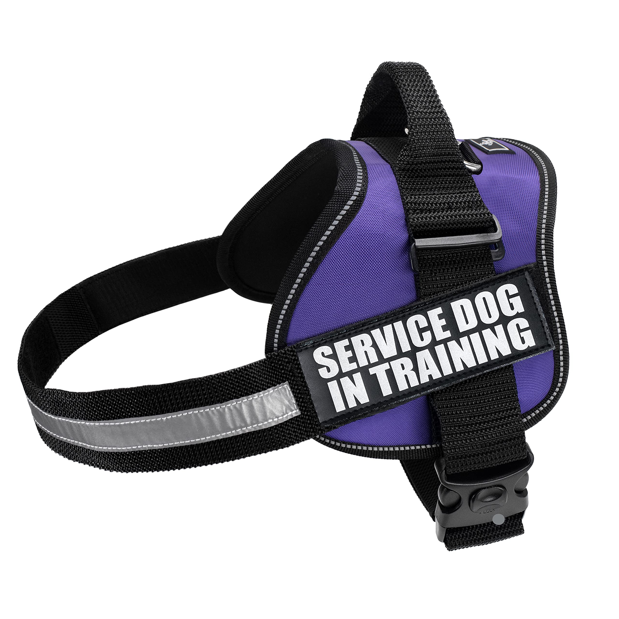 Doggie Stylz Service Dog In Training Vest With Hook And Loop Straps And Handle – Harness Comes In Sizes Xxs To Xxl – Three Colors – Dog Harness Features 2 Reflective Patches (Girth 19”-25' Purple)