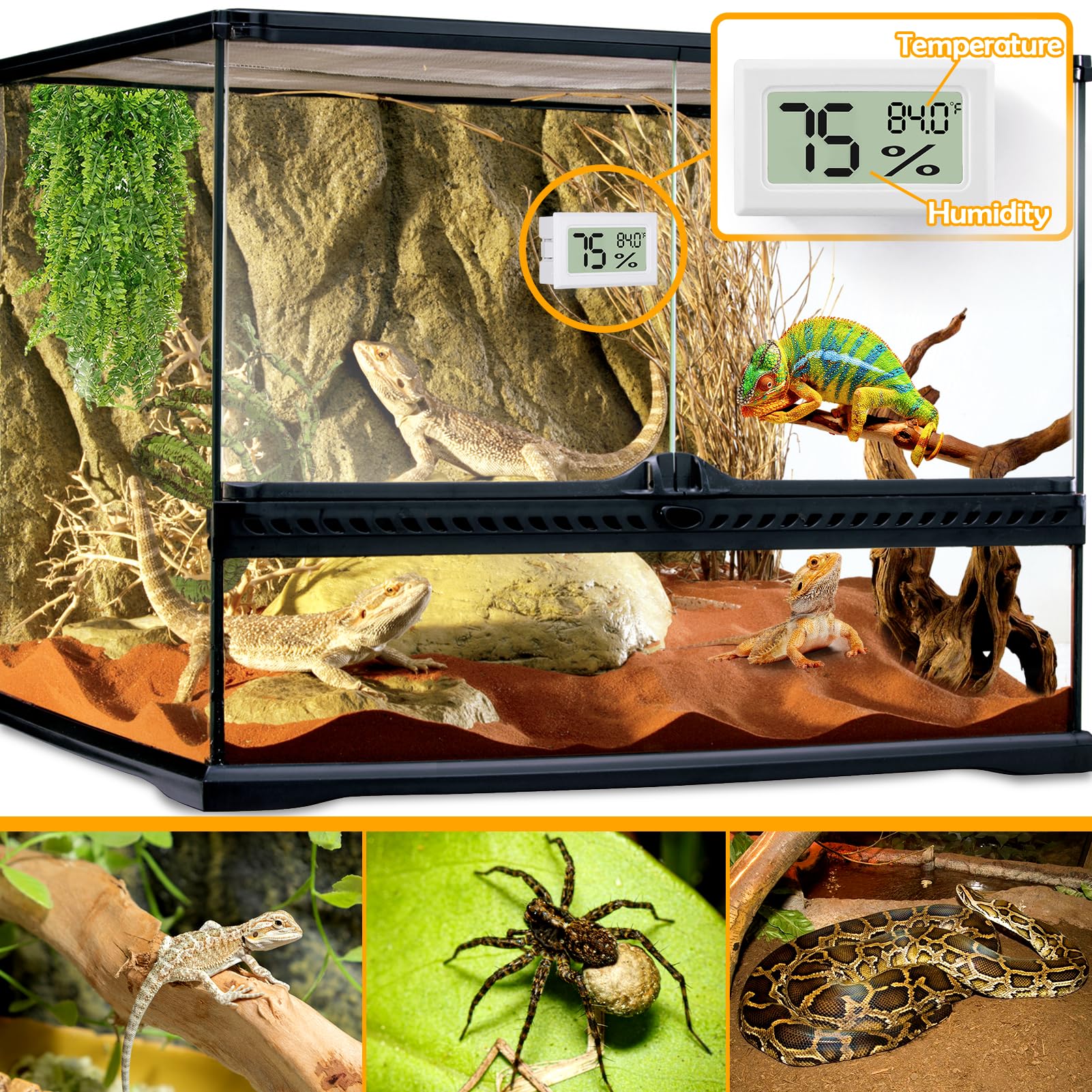 Bearded Dragon Accessories, 2 Pcs Rectangle Reptile Thermometer And Humidity Gauge, Reptile Tank Accessories For Jumping Spider,