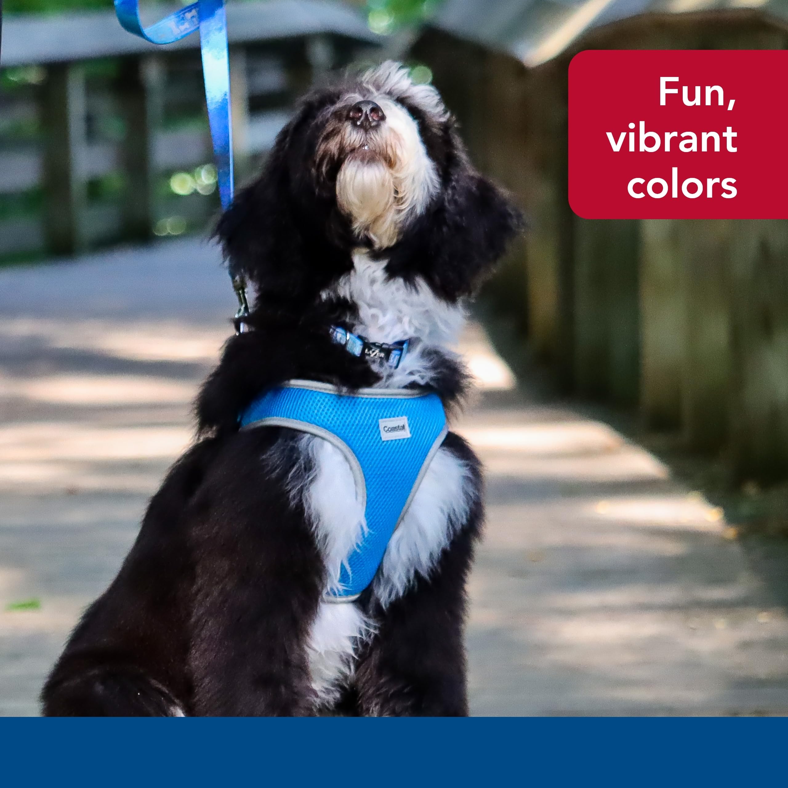 Coastal Pet Comfort Soft Reflective Wrap Adjustable Dog Harness - No-Pull Dog Harness For Small & Large Dogs - Blue Lagoon - 5/8' X 16'–19'
