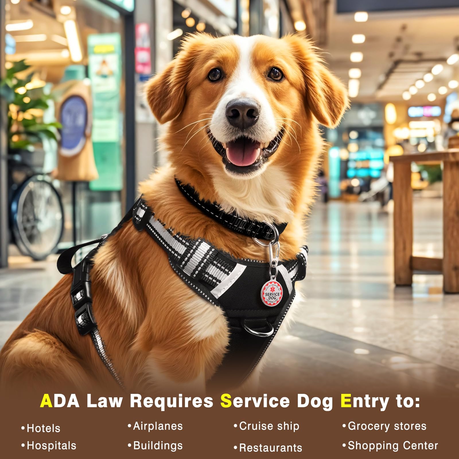 WINSEE Service Dog Vest No Pull with 7 Dog Patches+ID Tag, Reflective Pet Harness with Durable Soft Padded Handle,Easy Put On/Of