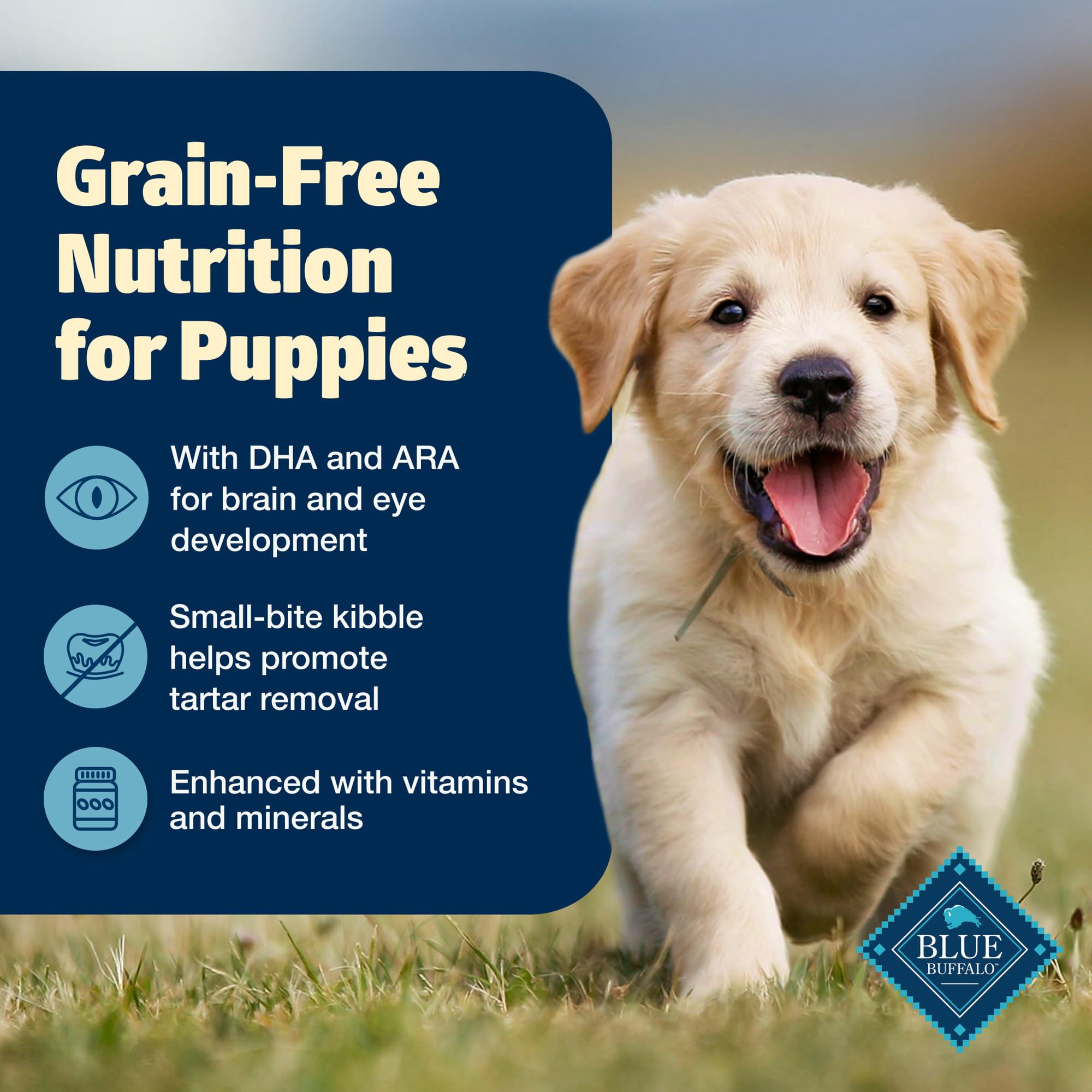 Blue Buffalo Freedom Grain-Free Puppy Dry Dog Food with DHA, Complete & Balanced Nutrition for Puppies, Made in the USA, Chicken