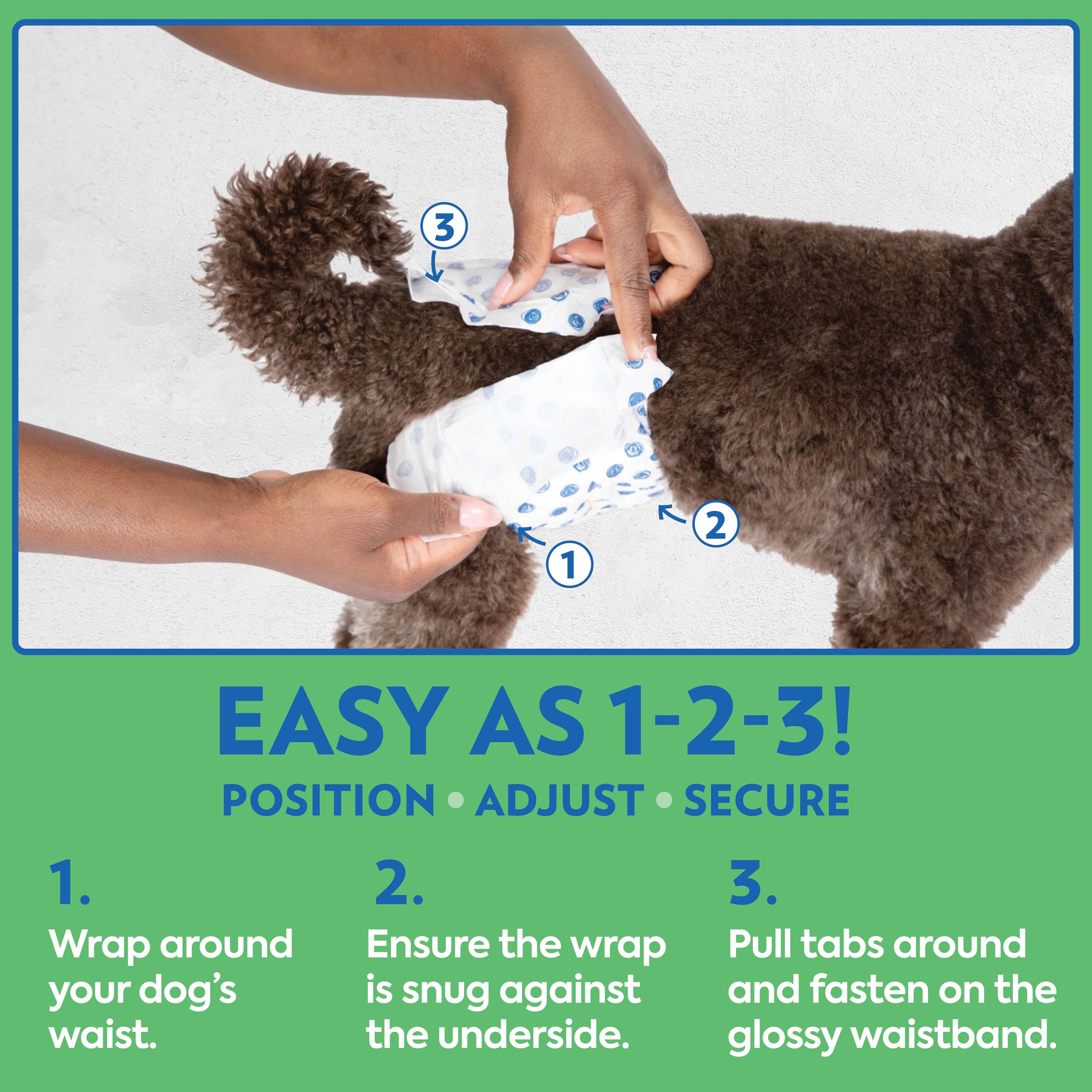 OUT! PetCare Disposable Dog Diapers Male, Puppy Belly Band, Potty Training, Doggie Diapers, Belly Bands for Male Dogs, Puppy Tra