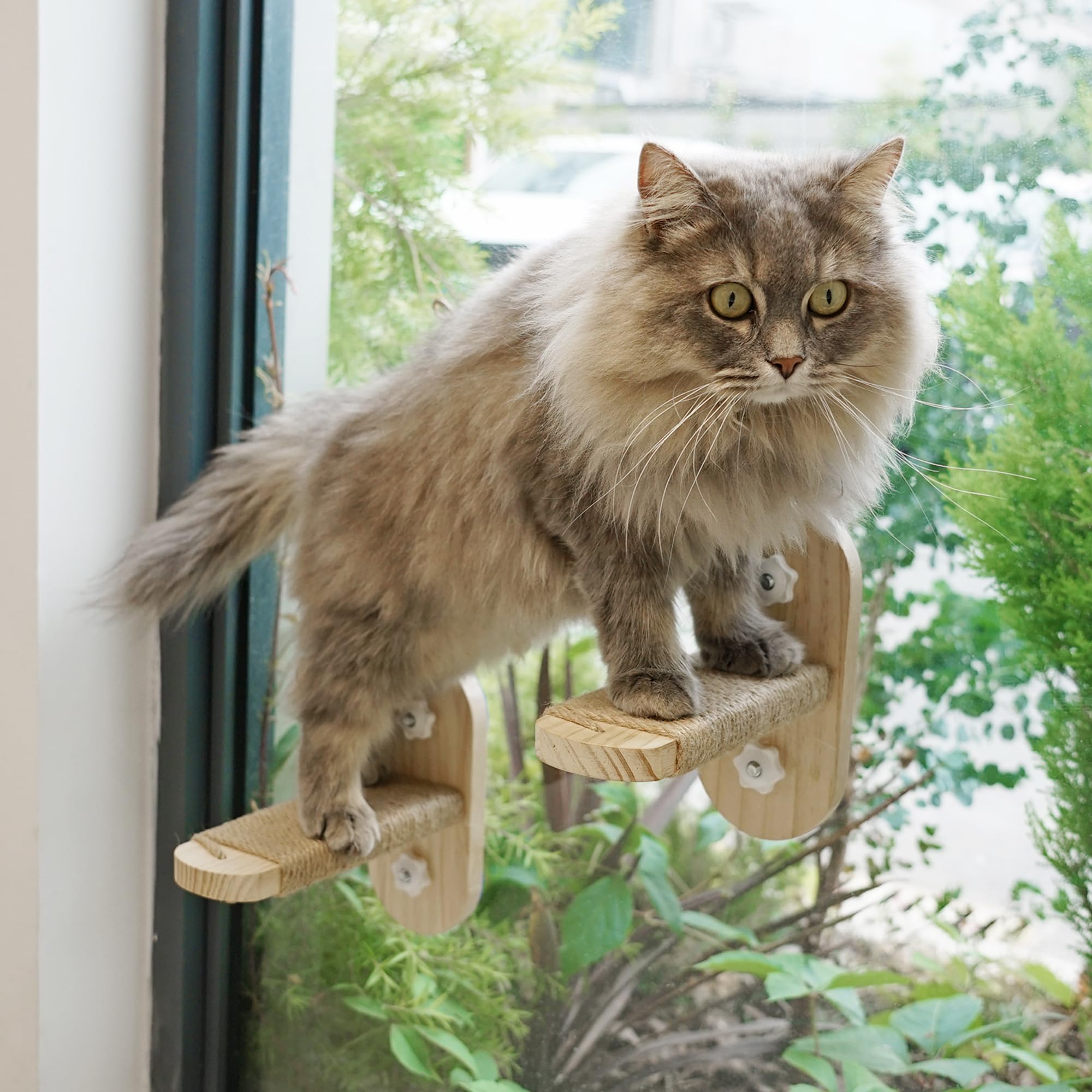 Petkaray Cat Window Shelf, Original Cat Window Perch Stairs, Durable Cat Seat For Window Sill, Sturdy Window Step For Indoor Cat