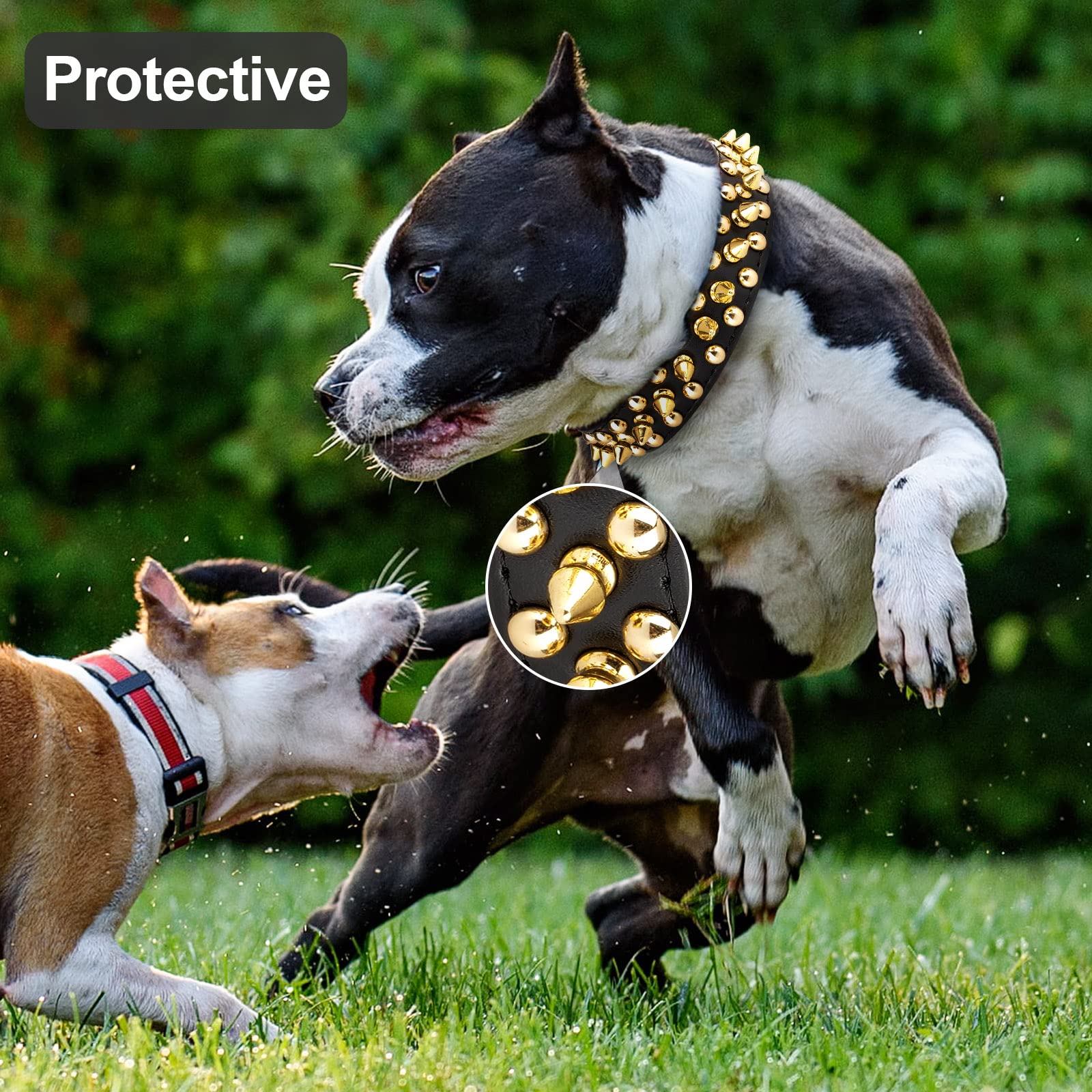 Epesiri Golden Spike Collar For Dogs, Gold Spiked Dog Collar, Durable Pu Leather Studded Dog Collar With Leash, Funny Mushrooms