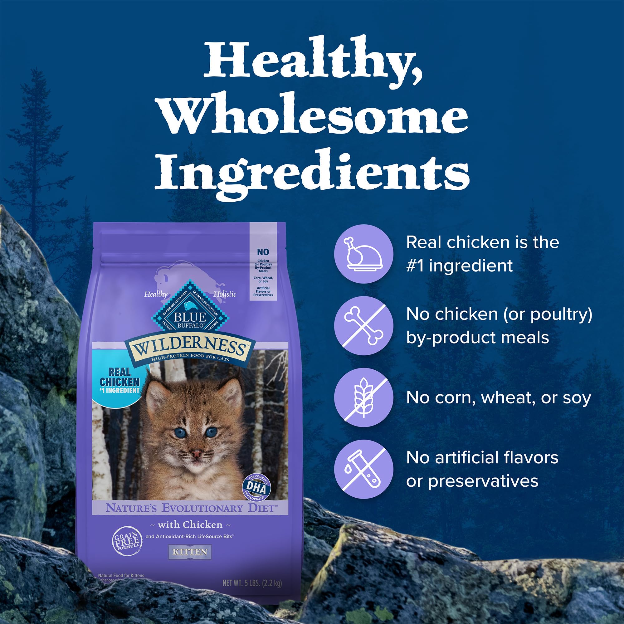 Blue Buffalo Wilderness Natural Kitten Dry Cat Food, with DHA and ARA to Support Brain and Eye Development, High-Protein and Gra