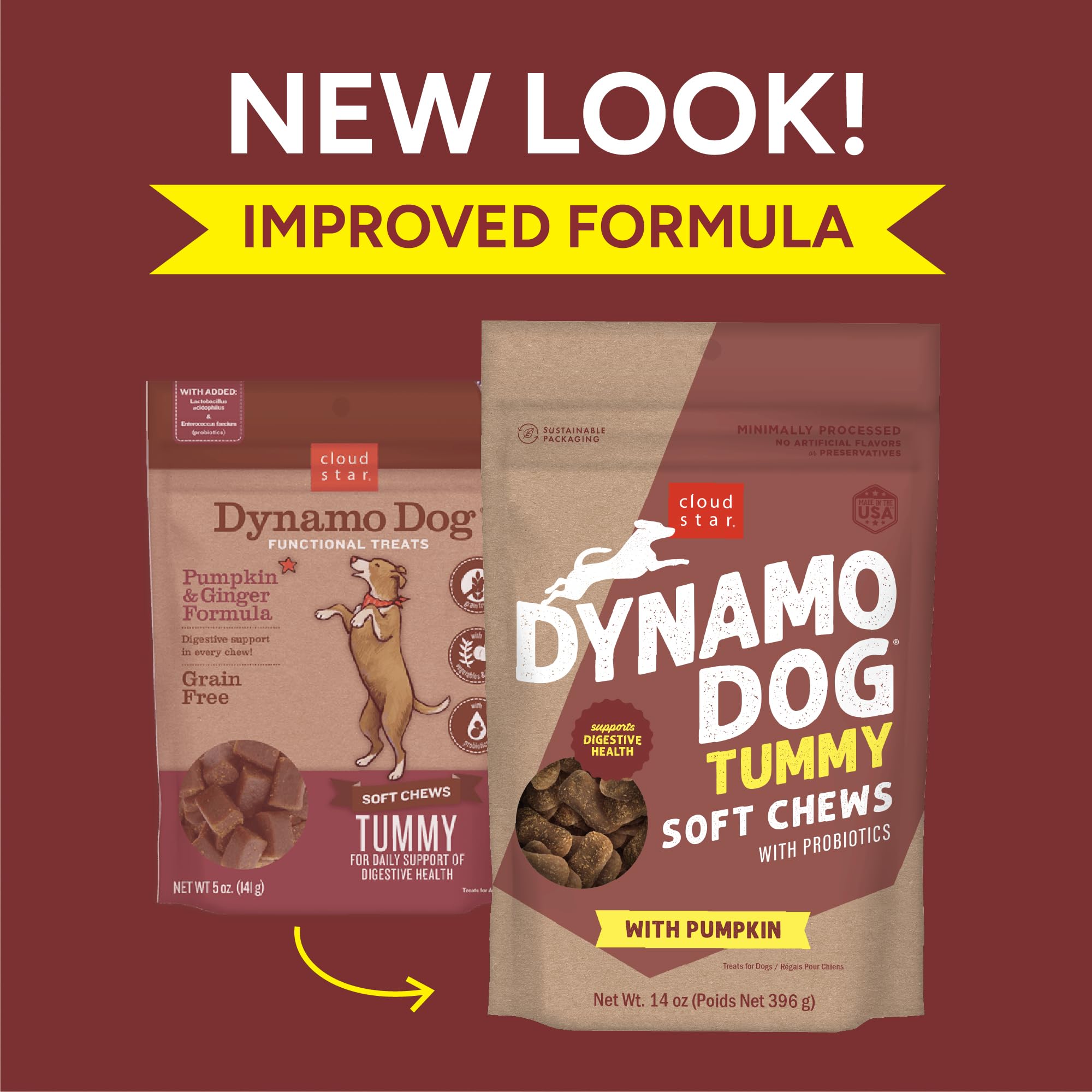 Cloud Star Dynamo Dog Tummy Treats - Soft & Chewy Probiotics Support for Dogs (14 oz. Pumpkin and Ginger) (20212)