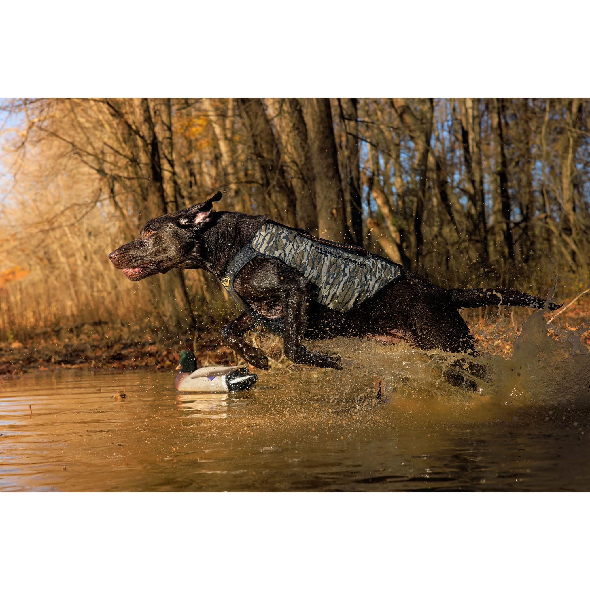 Momarsh Adjustable Dog Vest | Universal Neoprene Sporting Dog Vest For Waterfowl Hunting, & Water Training | Perfect Pet Vest Re