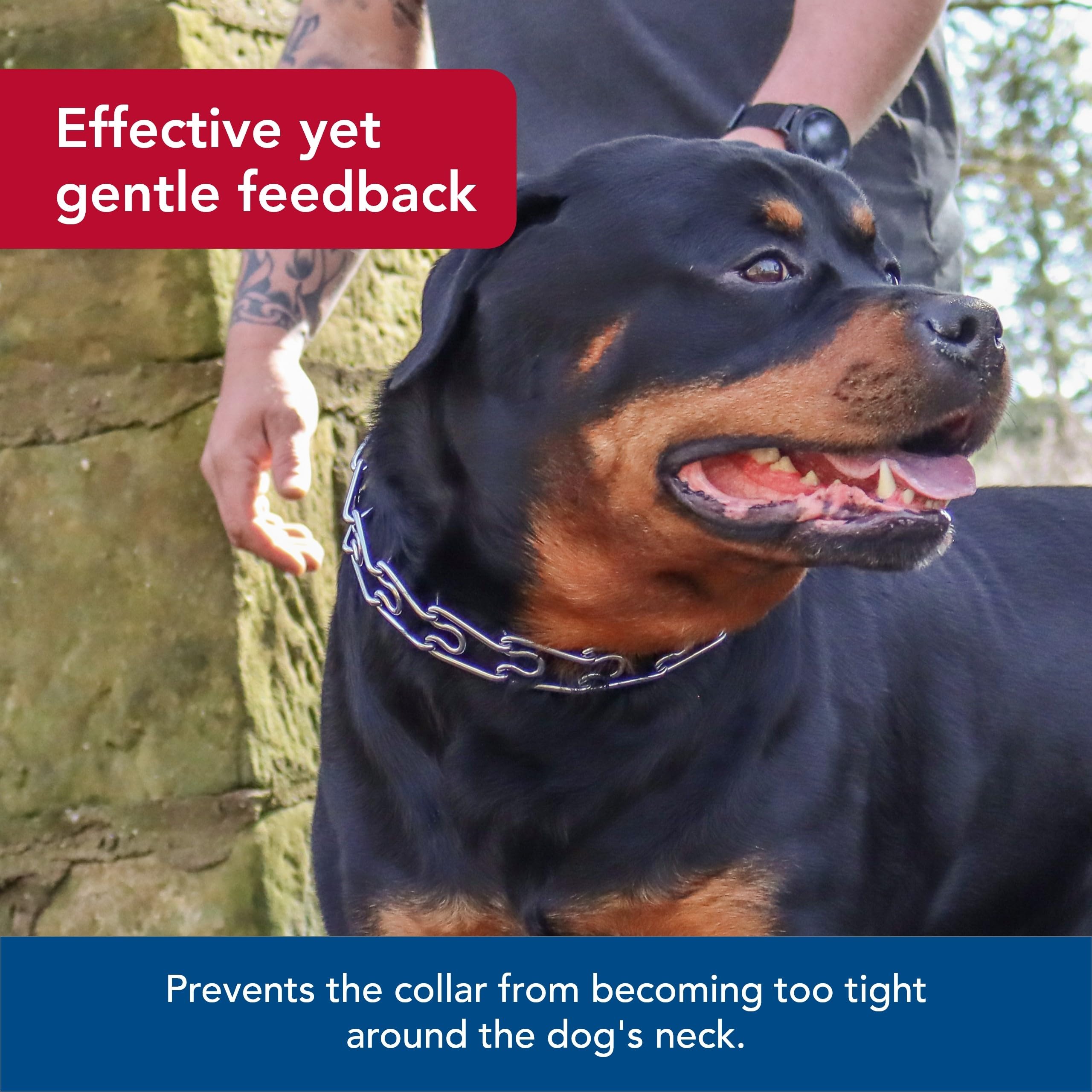 Coastal Pet Titan Easy-On Dog Prong Training Collar With Buckle - Durable Metal Training Collar For Dogs With Side Release Buckle - Black, 2 Mm X 14'