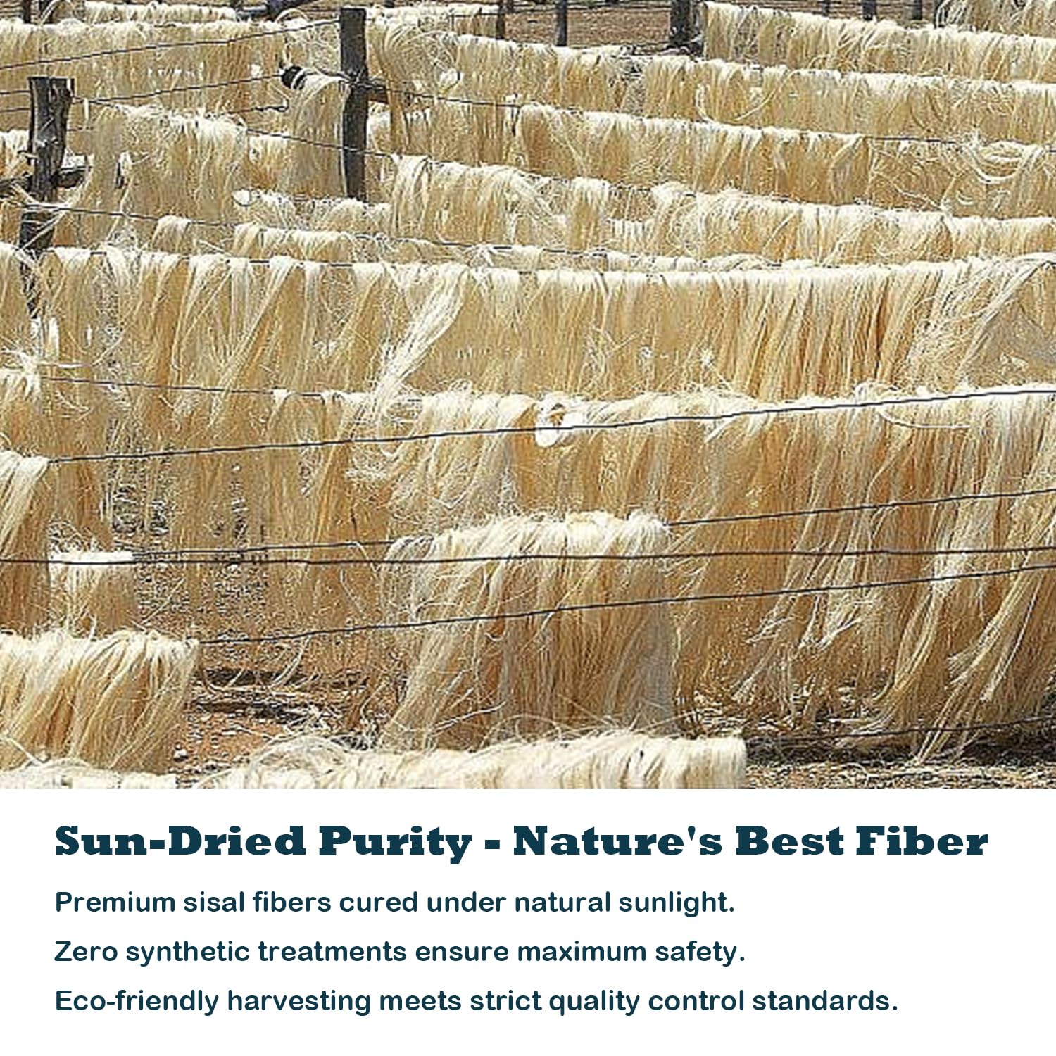 Treasborn Natural Sisal White Rope For Cat Scratcher Scratching Post Replacement 1/4 Inch Cat Tree Rope For Repairing, Recovering Or Diy Cat Scratcher 50/100/164 Feet