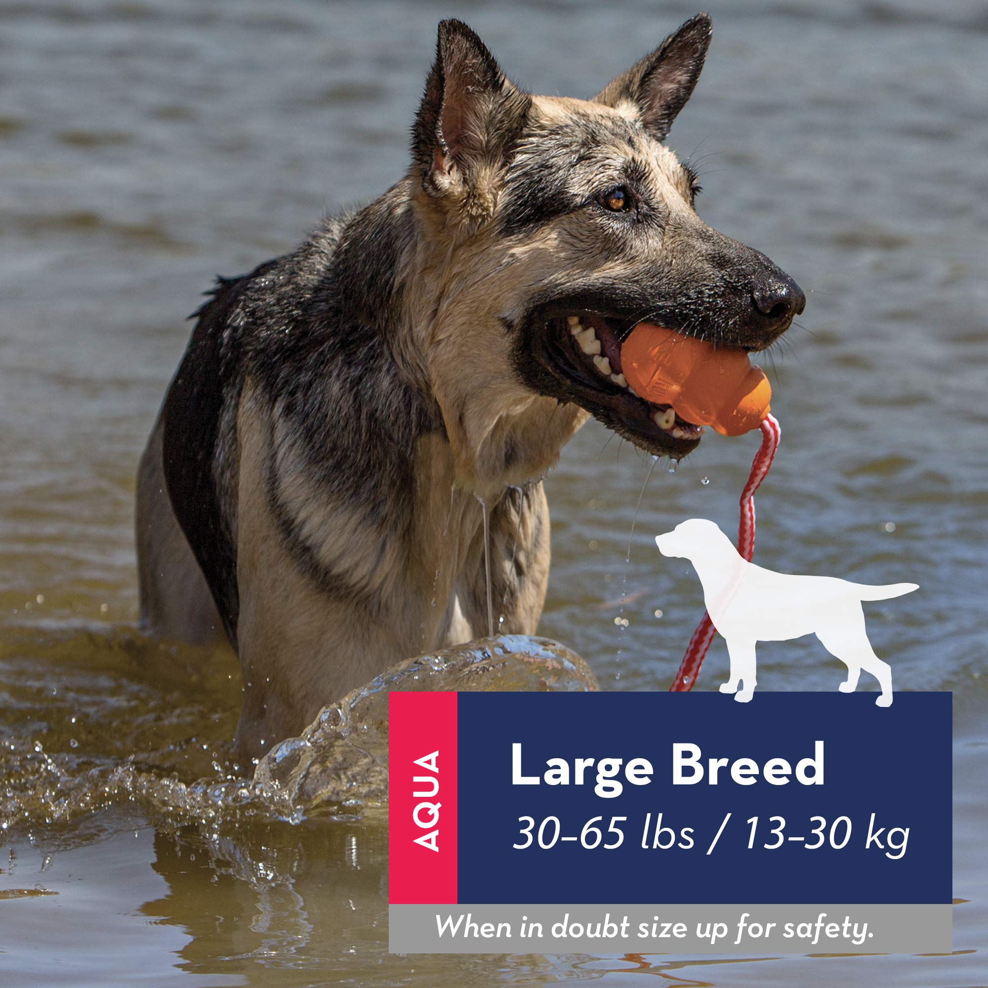 Kong - Aqua And Training Dummy - Floating Fetch Toy For Water Play And Training - For Large Dogs