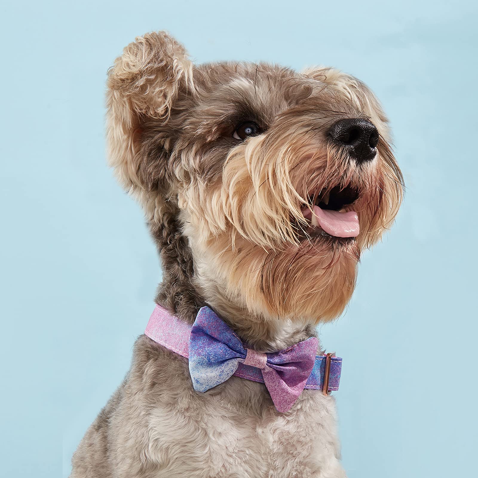 Collar With Bowtie Floral Detachable For Girl Dogs - Soft Comfy Pet Collar With Safety Buckle, Flower And Knotbow - Adjustable F