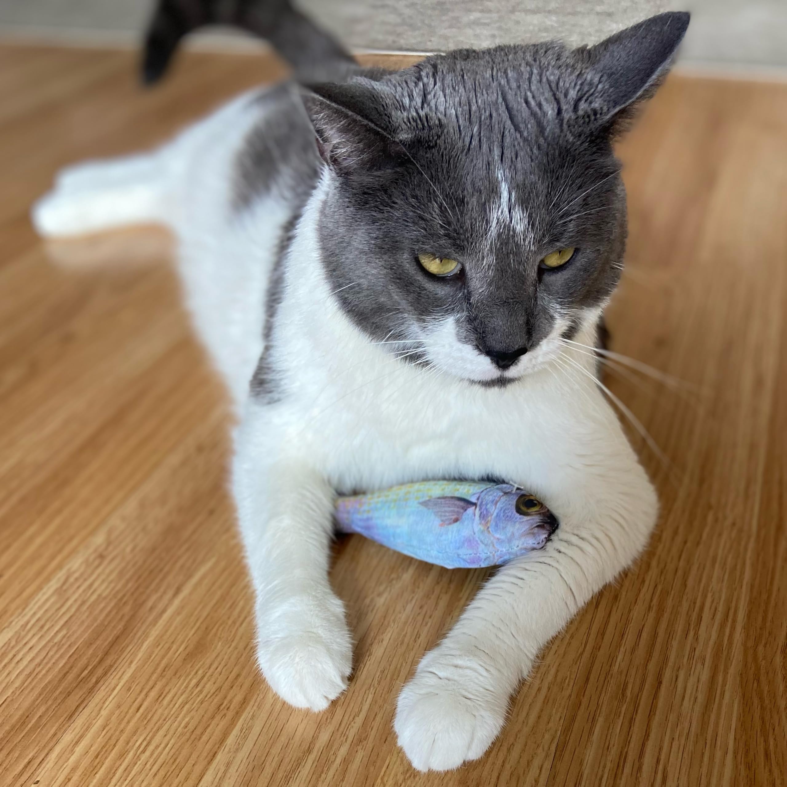 Spot Fanatic Fish - Plush Cat Toy With Catnip And Crinkle Sound, Realistic Looking Fish Toy For Cats & Kittens To Cuddle, Chase, Hug, Kick, And Swat -6.5In, 1 Piece