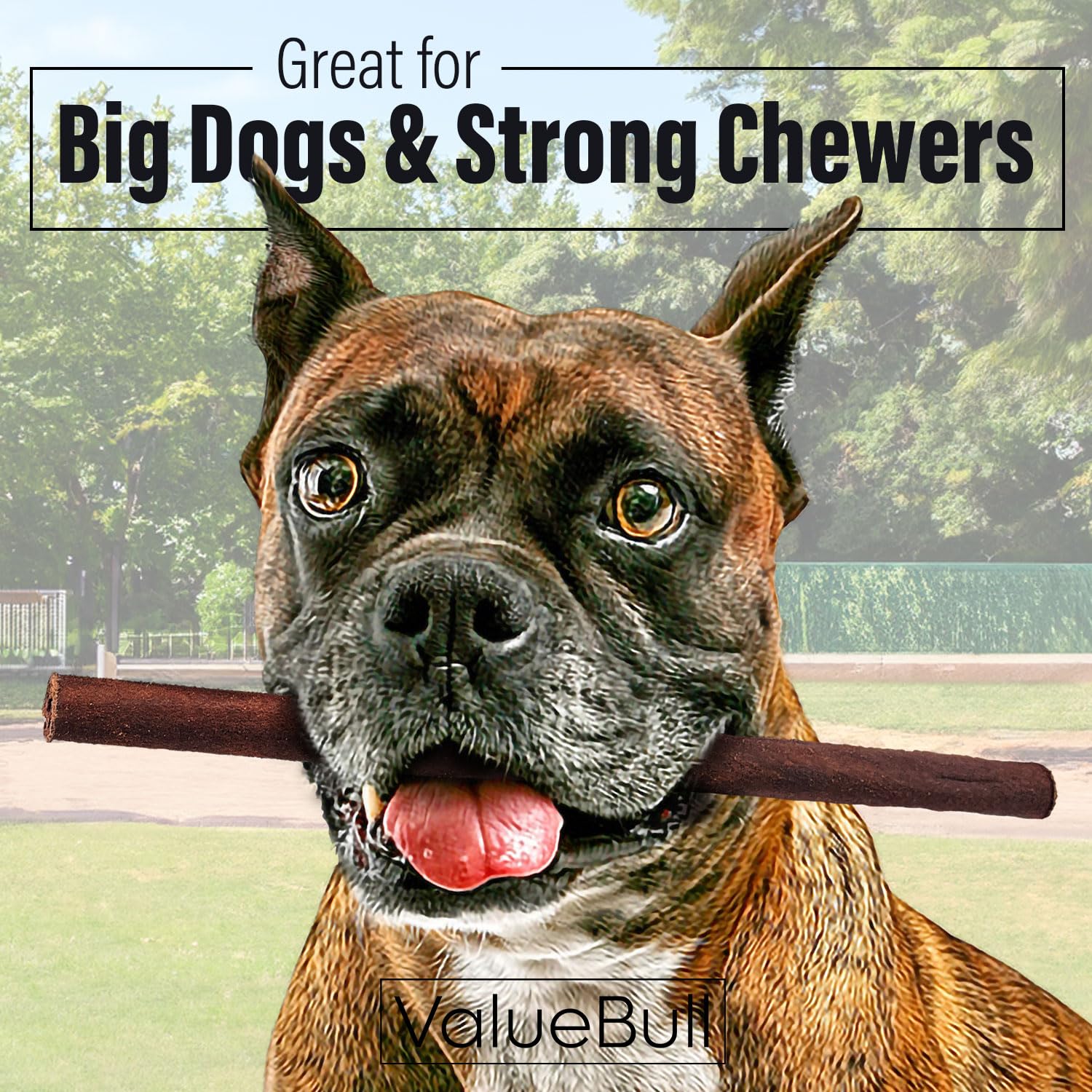 ValueBull Collagen Sticks for Dogs, 12 Inch Thick Chews, Natural Long-Lasting Dog Treats, 25 Count - Supports Joints, Skin & Coa
