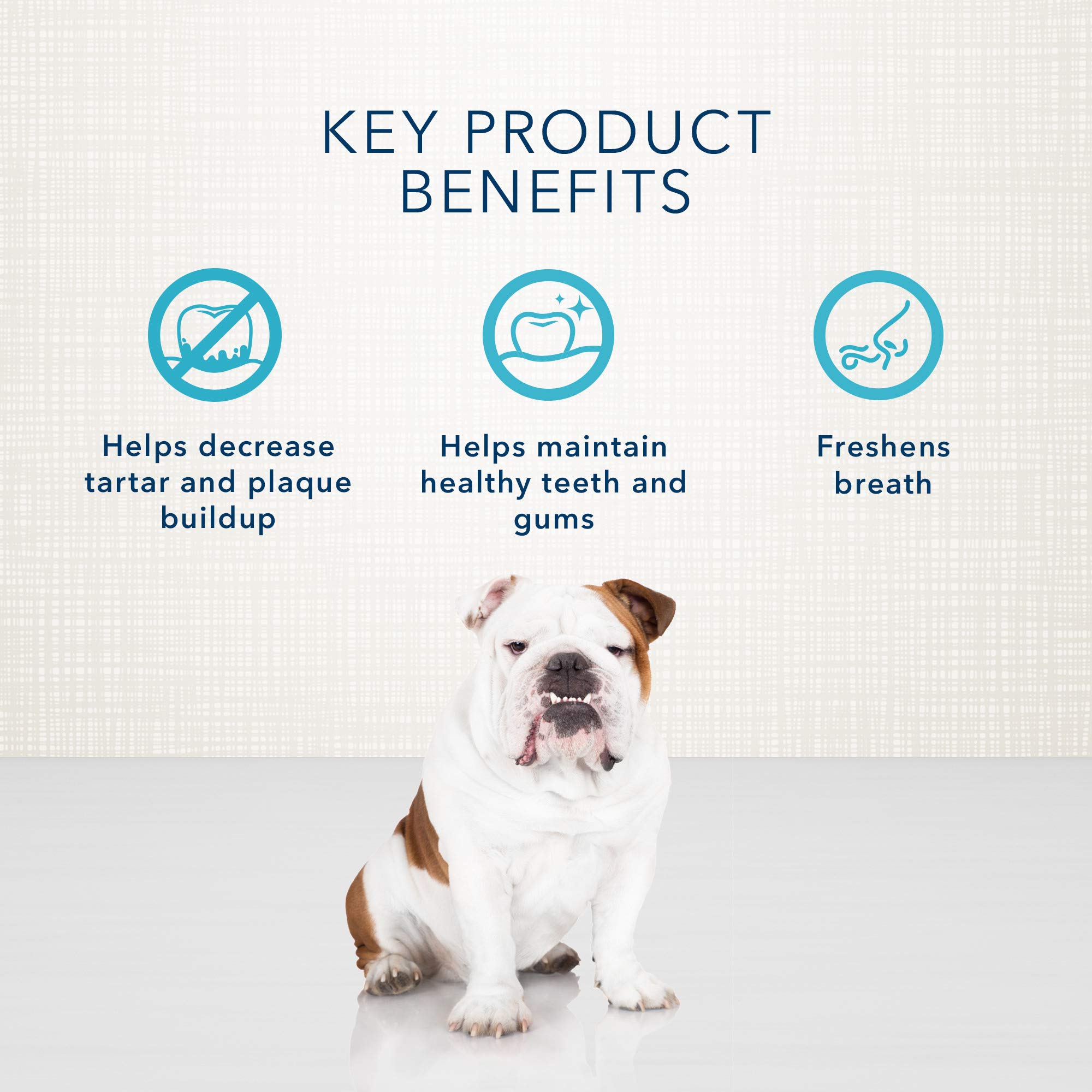 Blue Buffalo Dental Bones Regular Natural Dental Chew Dog Treats, (25-50 lbs) 27-oz Bag Value Pack