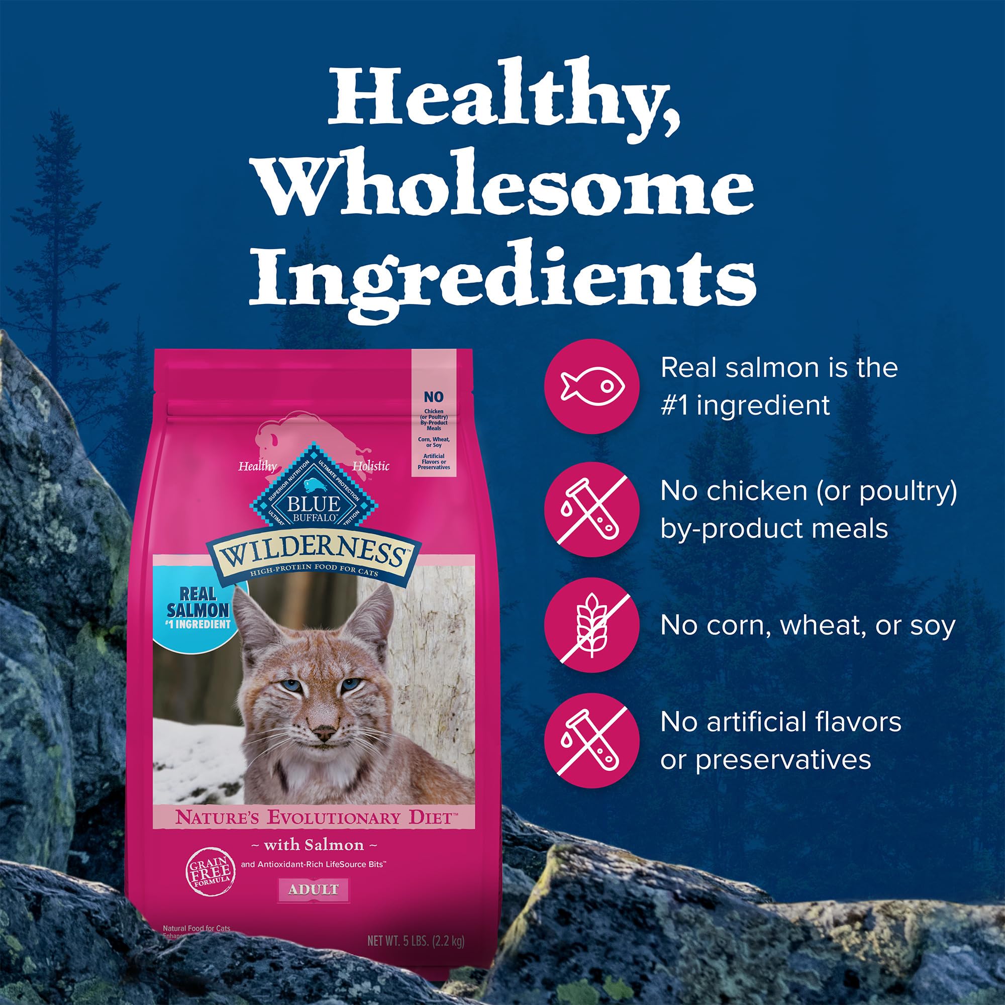 Blue Buffalo Wilderness Natural Adult Dry Cat Food, High-Protein and Grain-Free Diet, Supports Healthy Muscle Development and a
