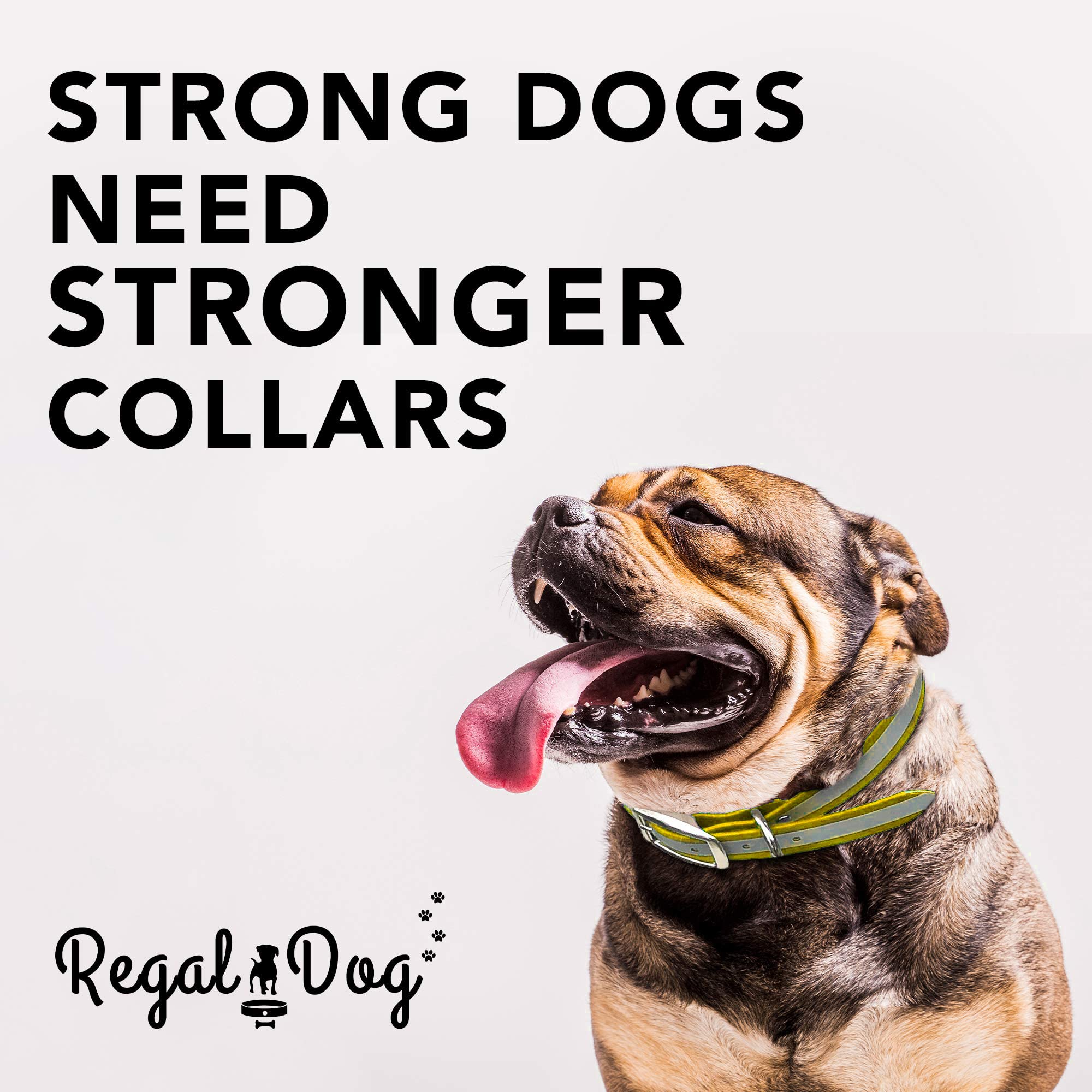Regal Dog Products Medium Yellow Heavy Duty Reflective Dog Collar With Durable Metal Buckle And D Ring Adjustable, Chew Proof &