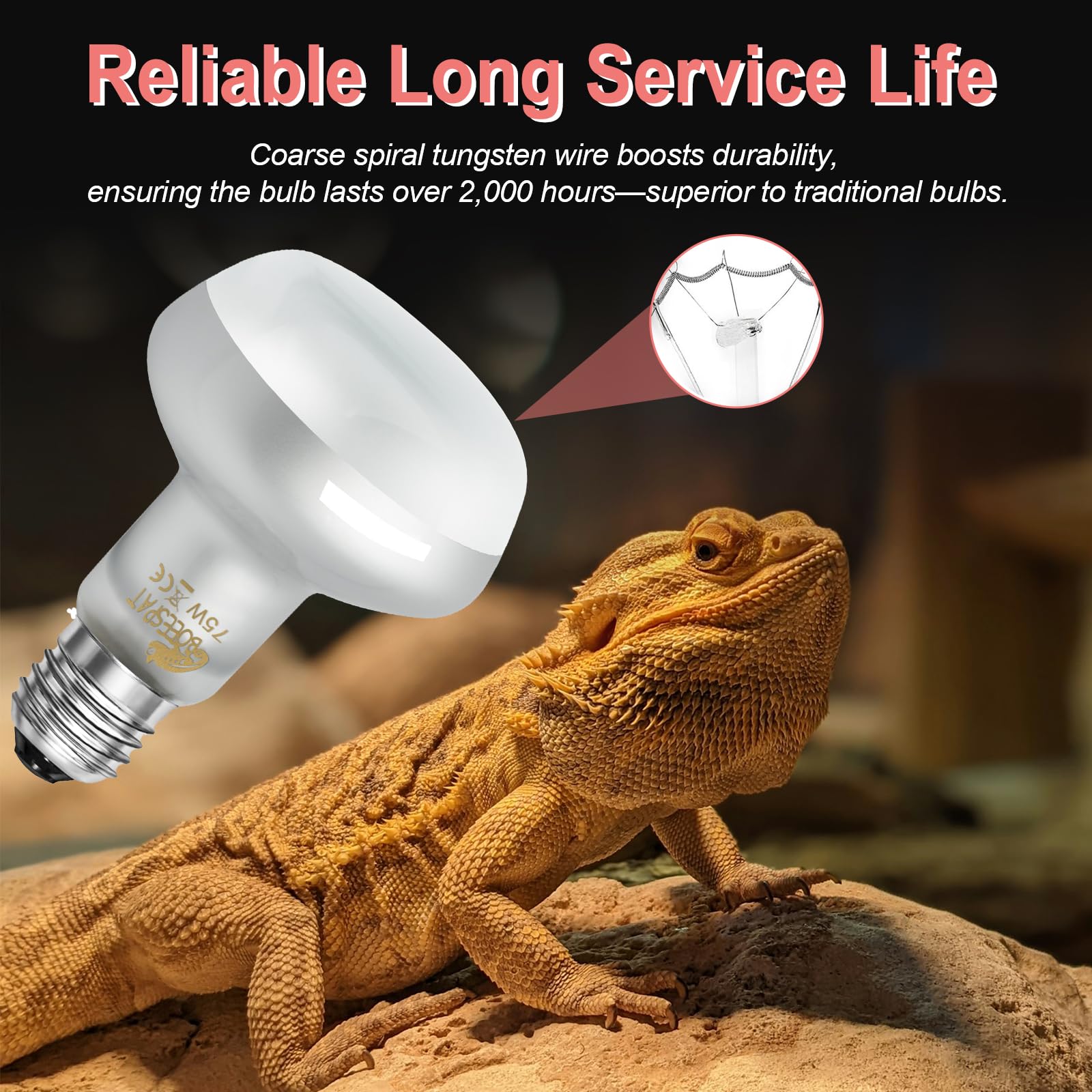 BOEESPAT Intense 75W UVA Daylight Heat Lamp Bulbs for Basking - Simulated Sunlight Perfect for Desert-Dwelling Reptiles and Amph